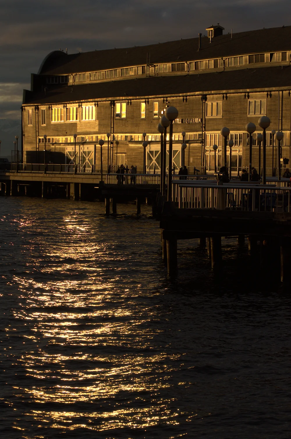 Pier Yellow Reflection Web.jpg