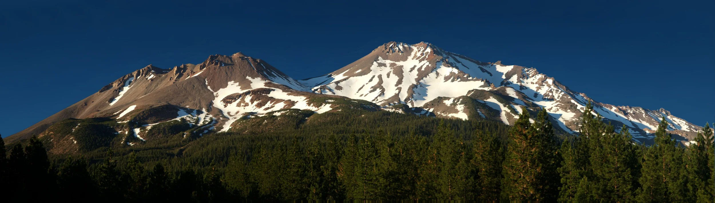 shasta.jpg