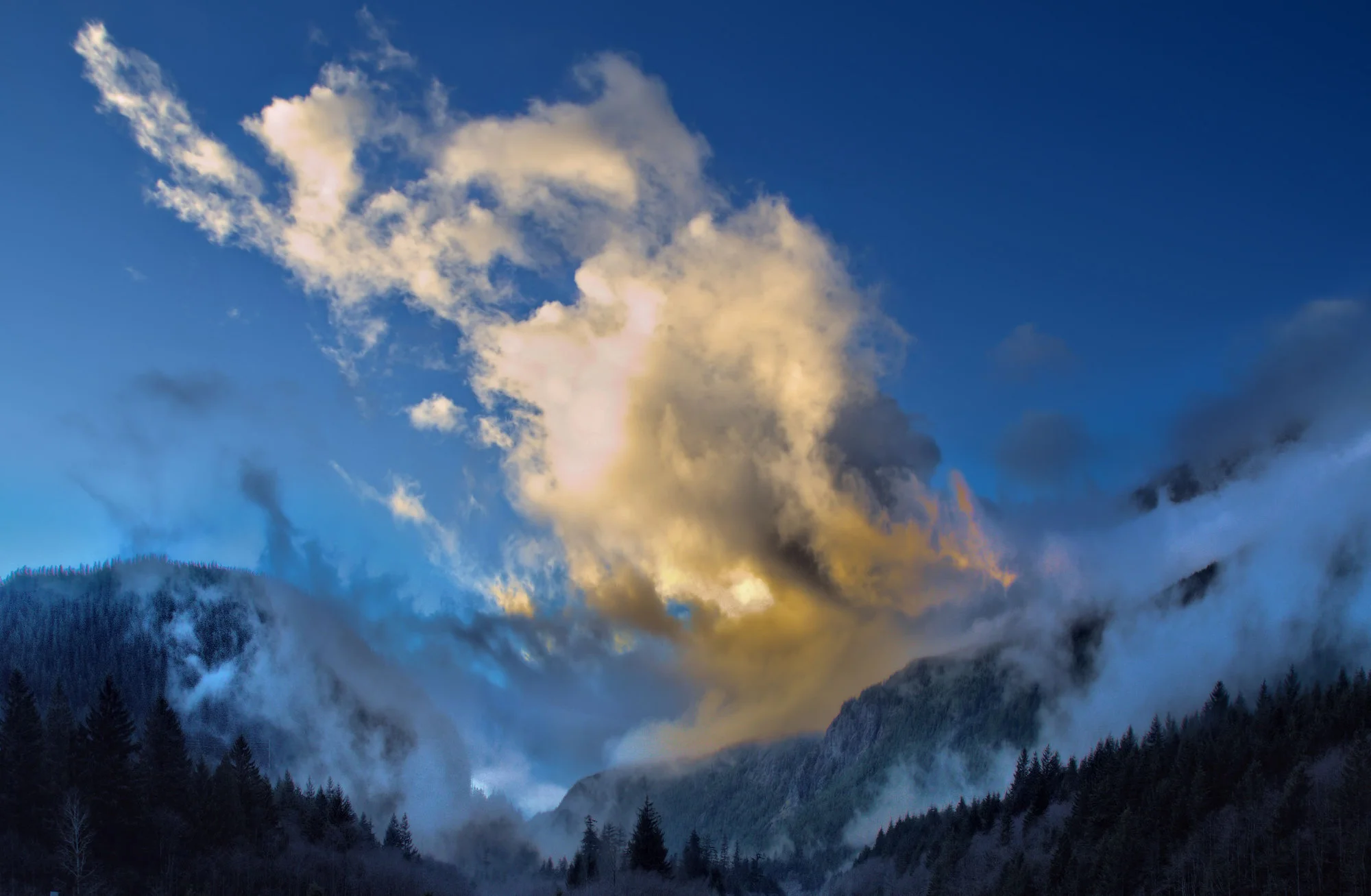 _DSC7513_Localtone2 SP.jpg