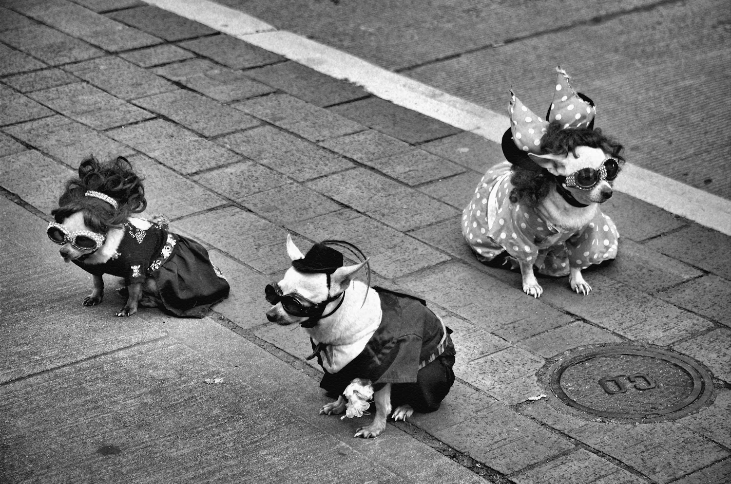 _DSC5116_BW Grain SP.JPG