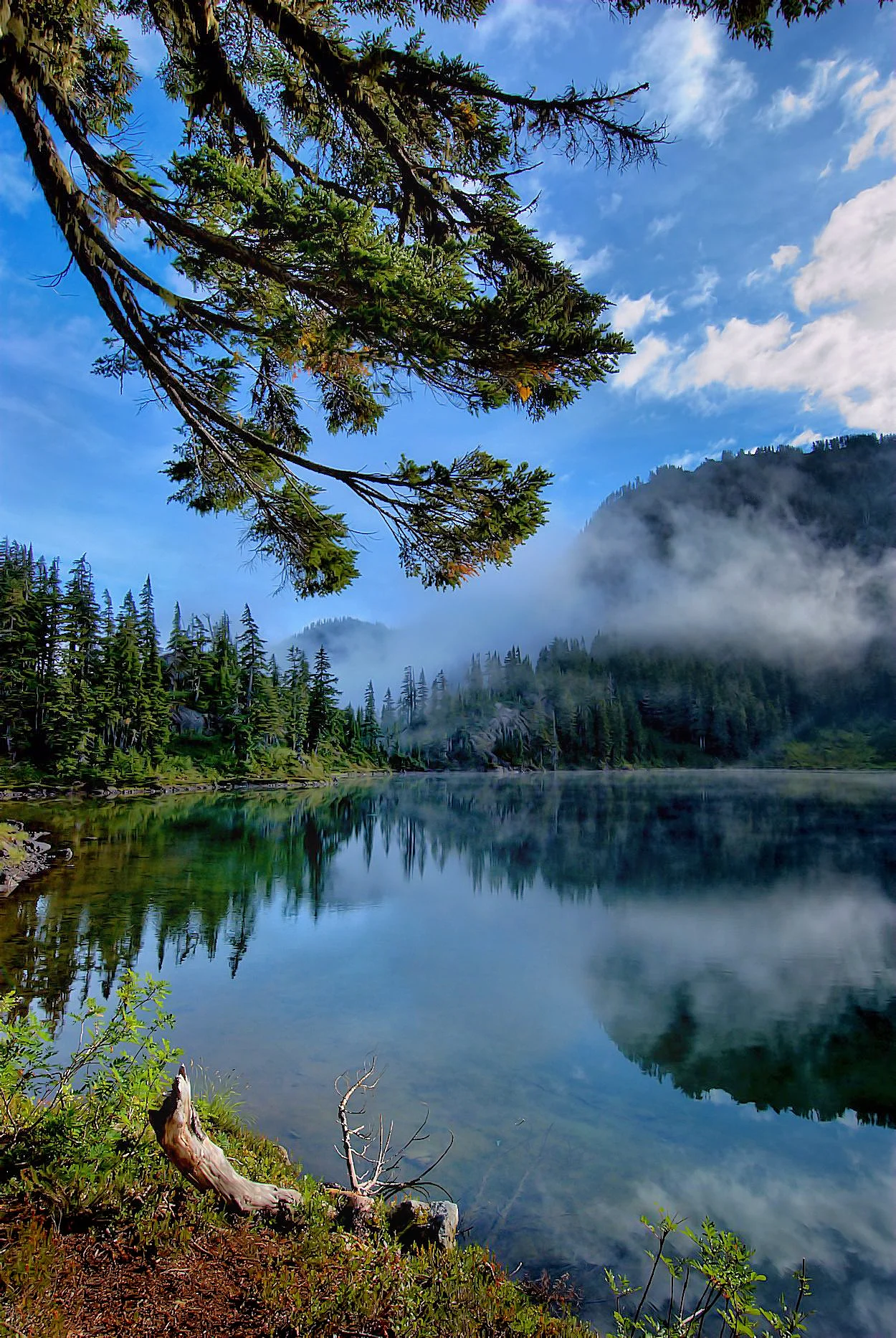 Arbuthnot Lake PIX.jpg
