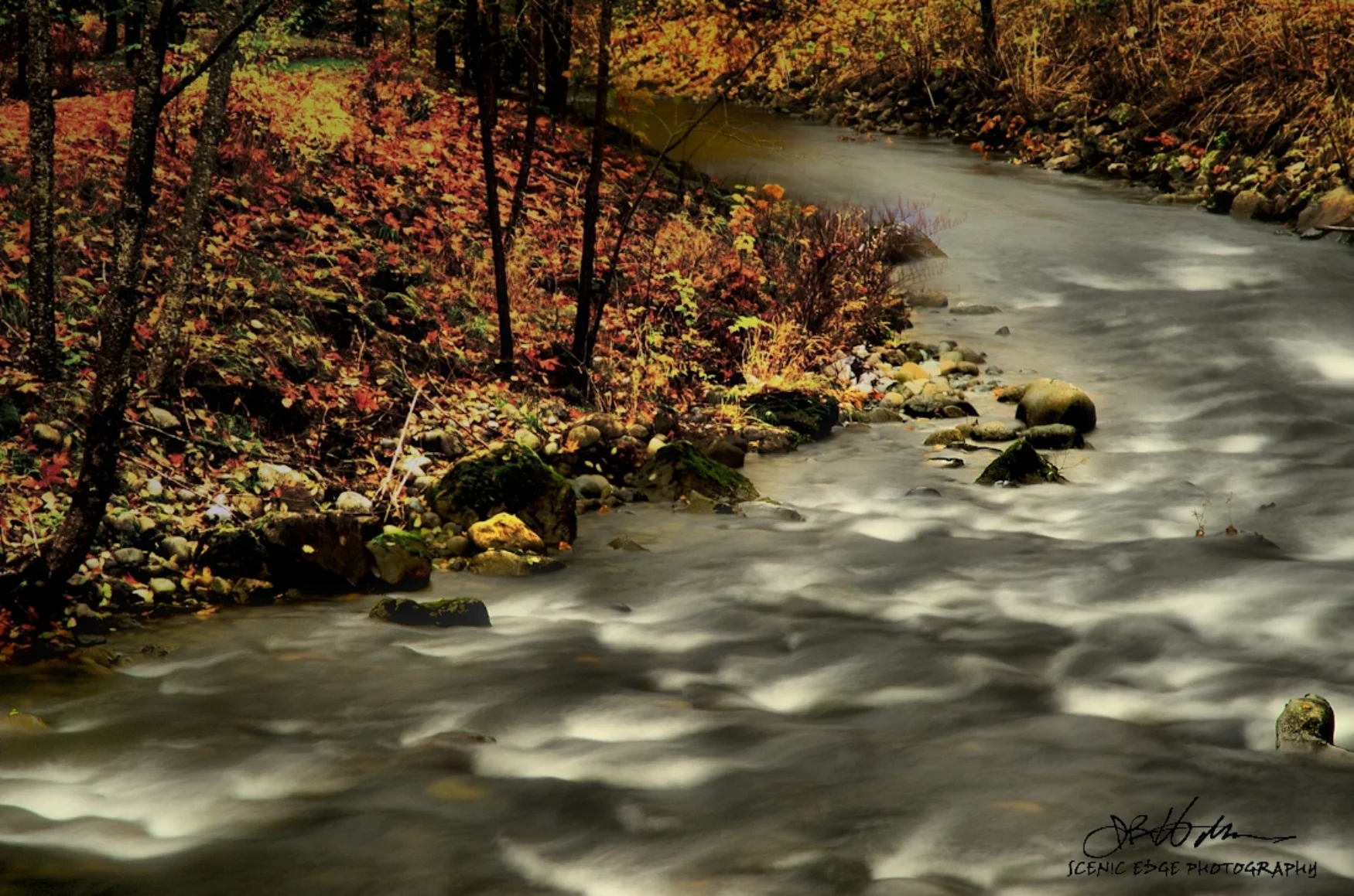 Tolt River SEdge.jpg