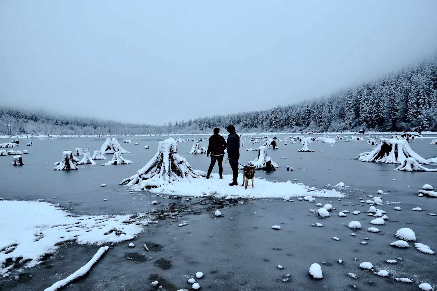 _D553652_Web.jpg
