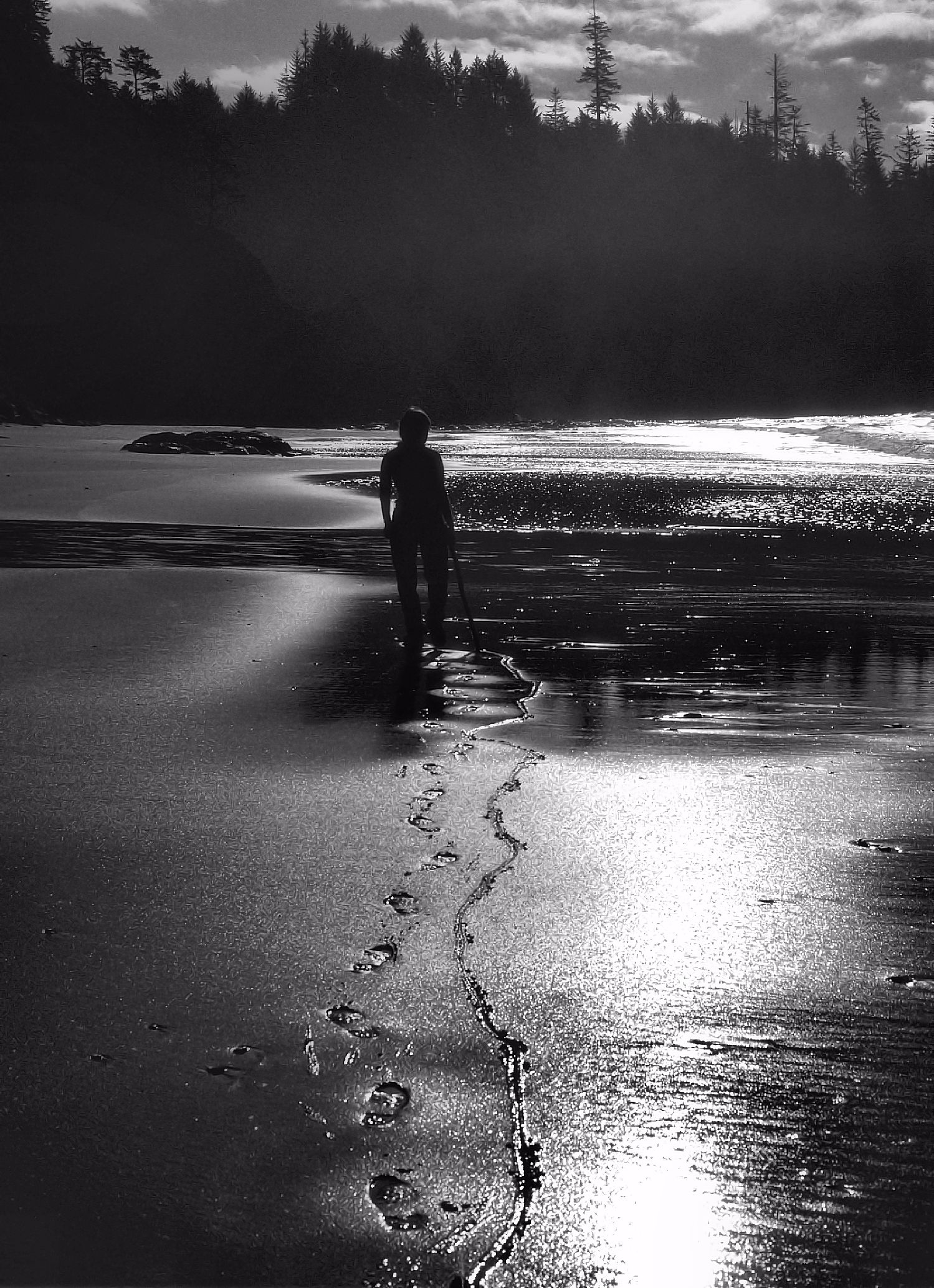 BeachStickSized Mono.jpg
