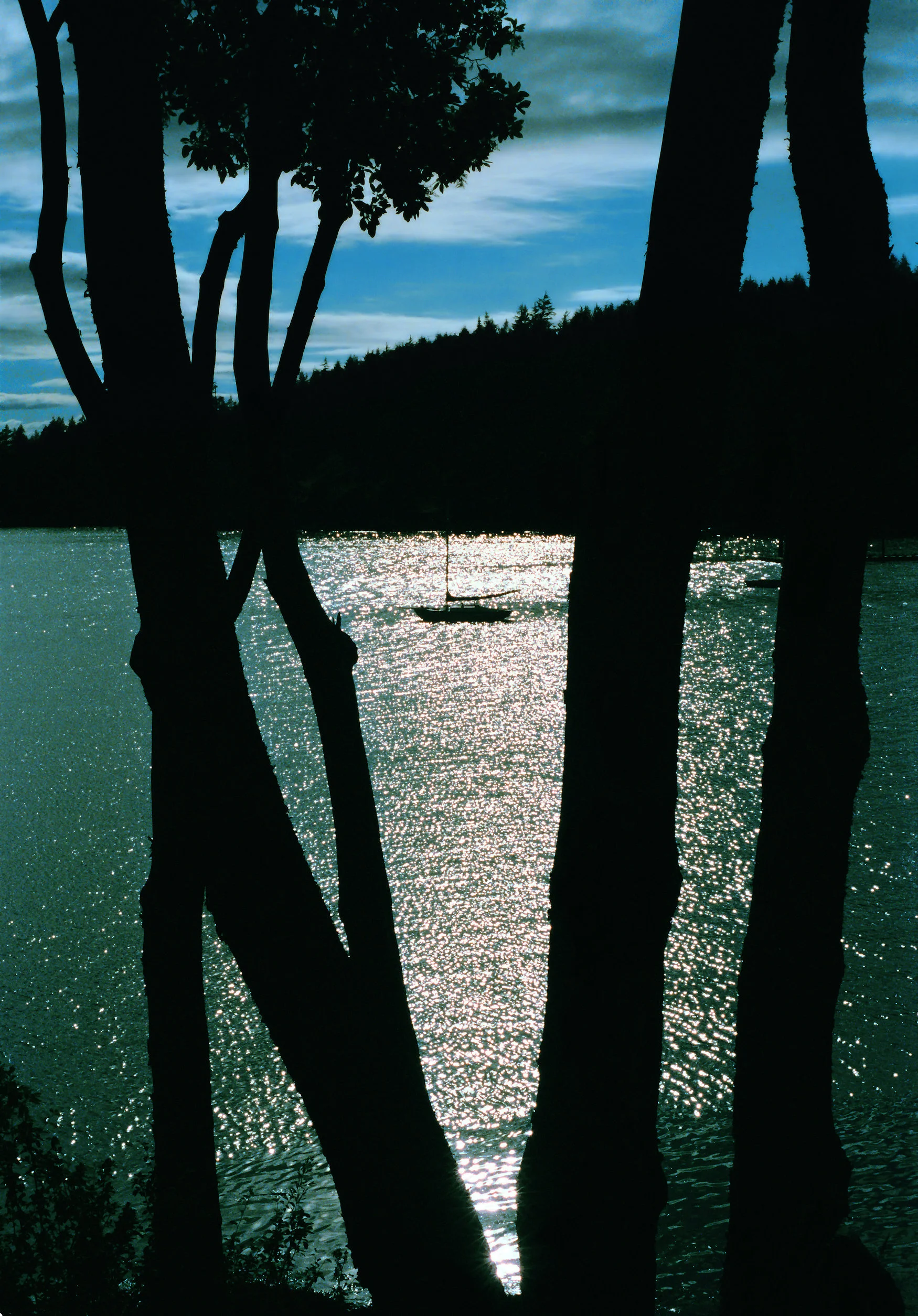 SailboatAtRestWeb.jpg