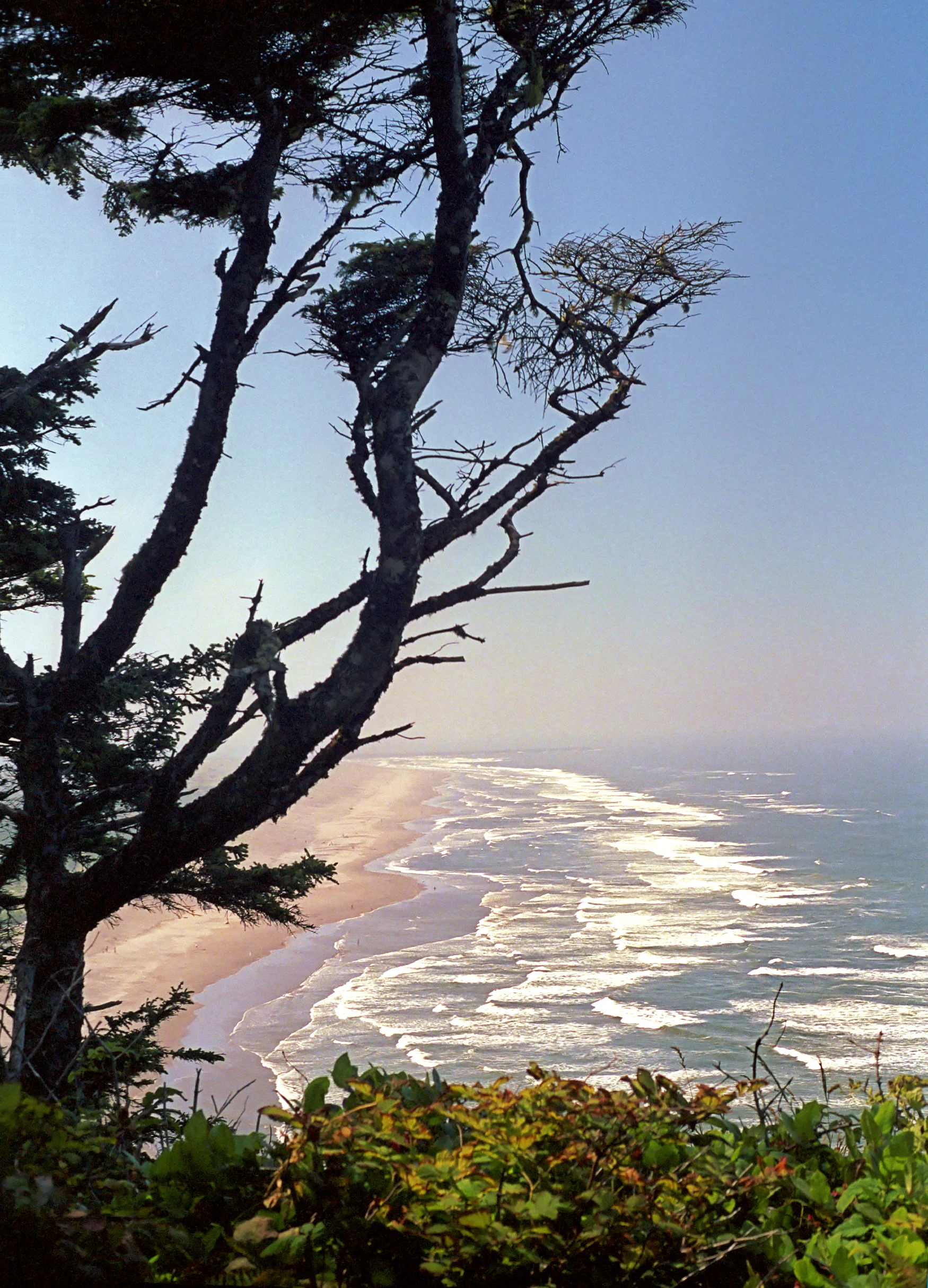 LongBeachPeninsula004.jpg