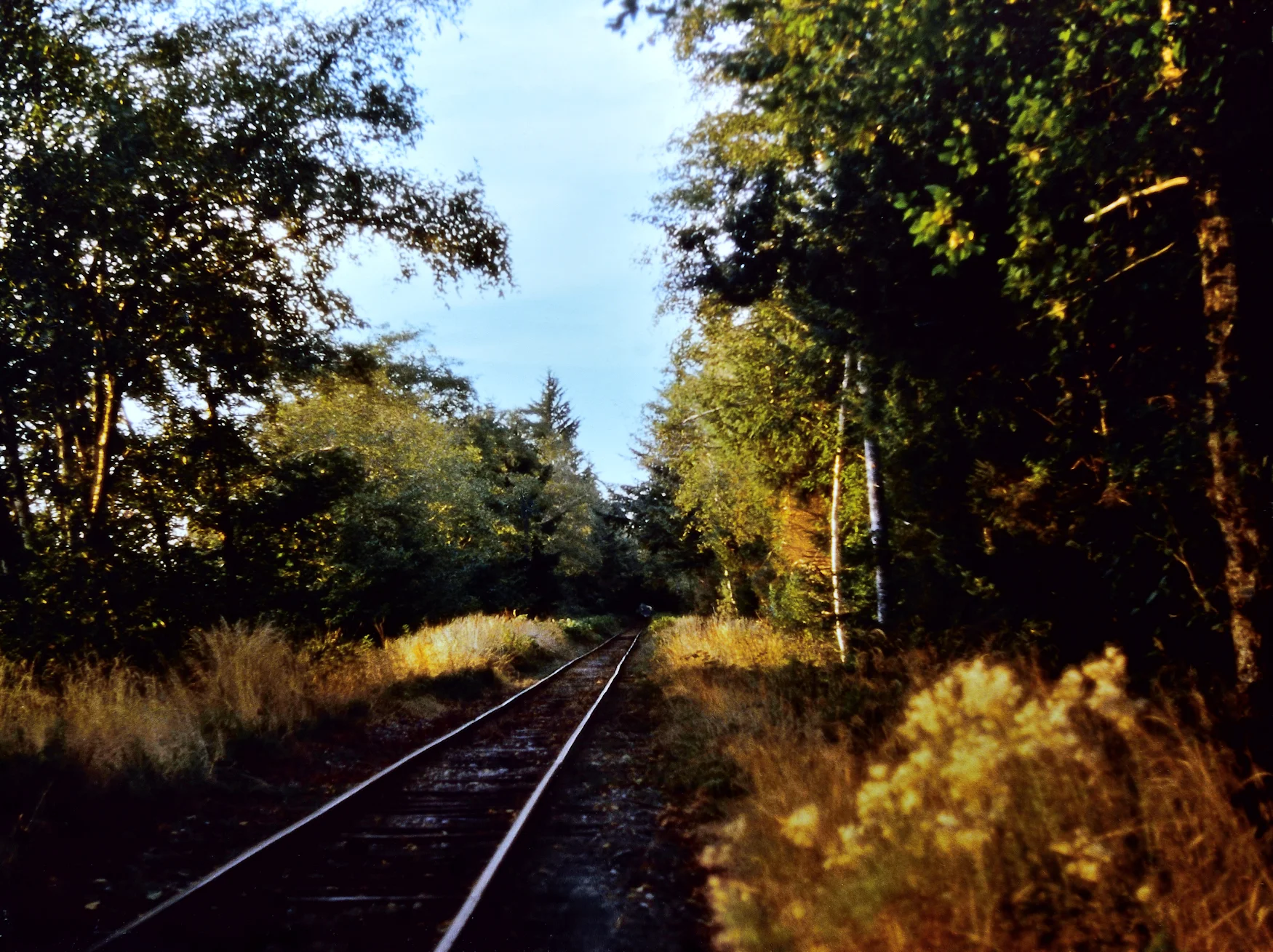 Railroad Track Olympic Peninsula Web.jpg