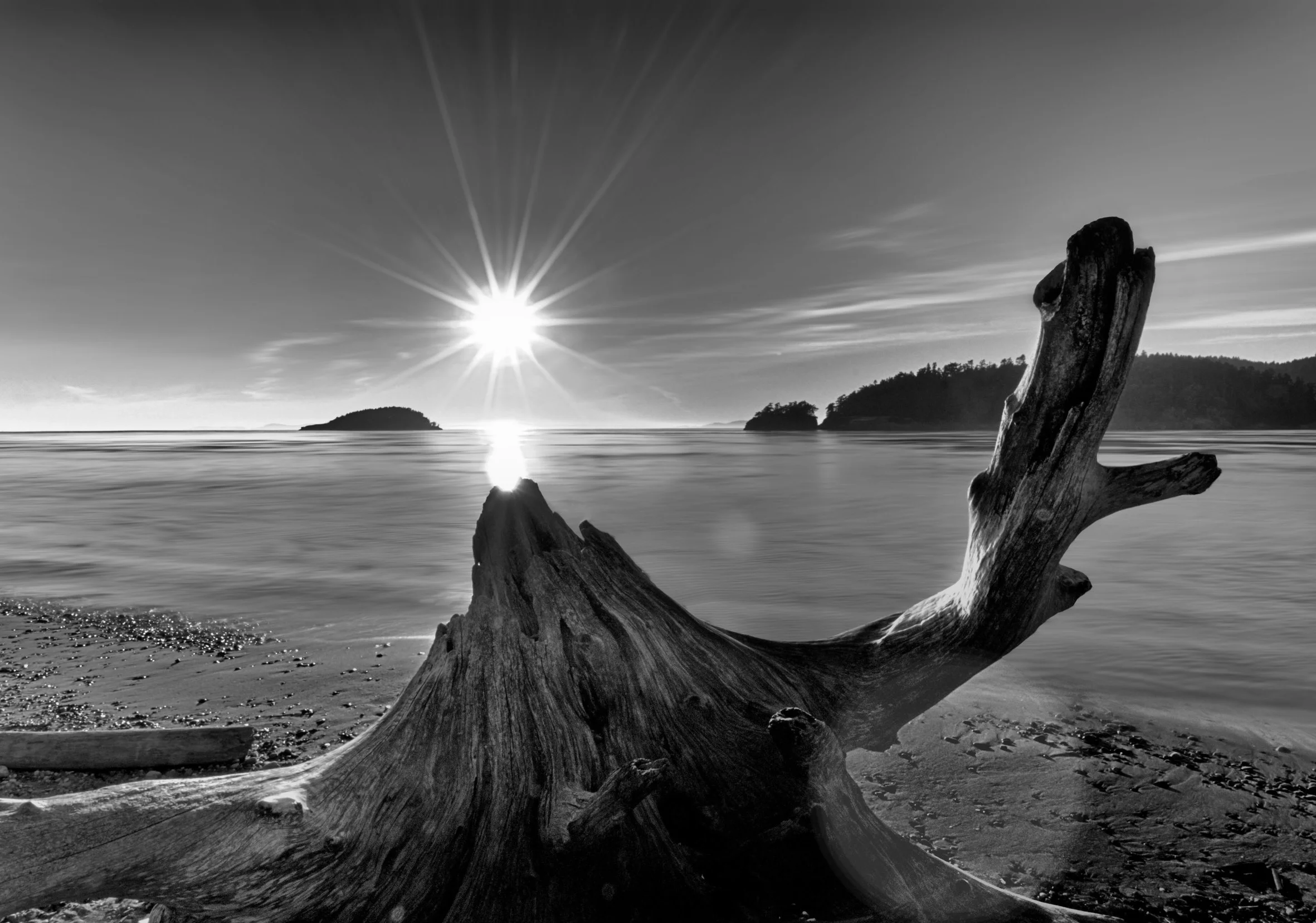 _DSC9177_Detail_Lens Flare BW.jpg