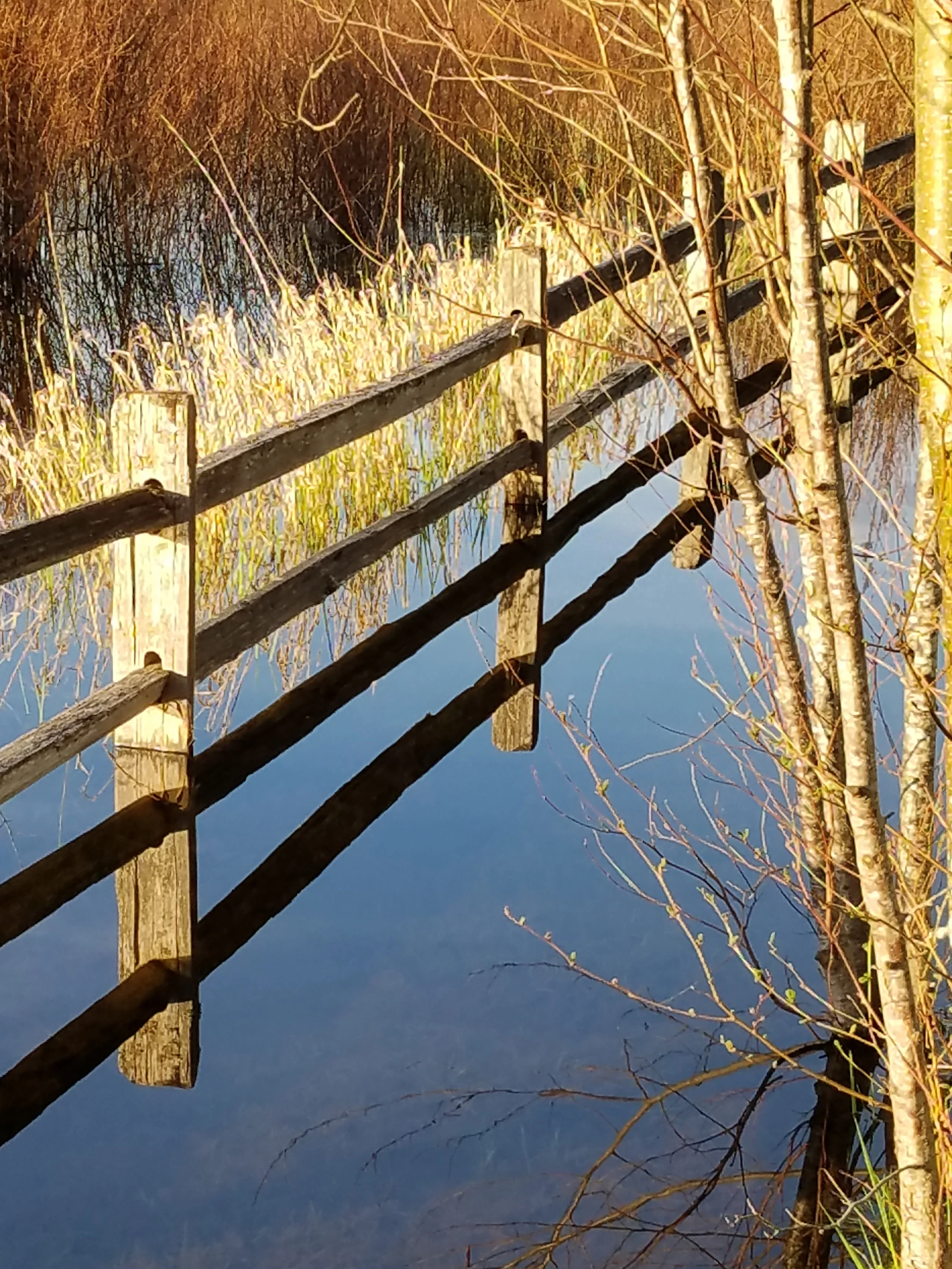Lama Lake Fence Reflection.jpg