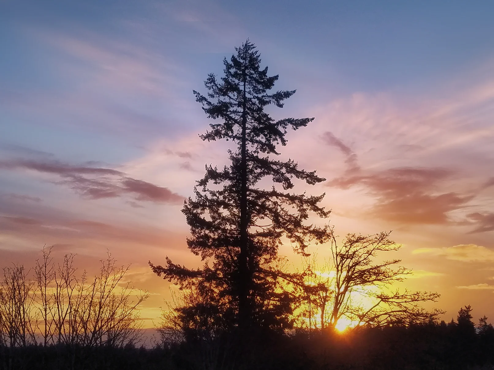 Sammamish Sunset FB.jpg