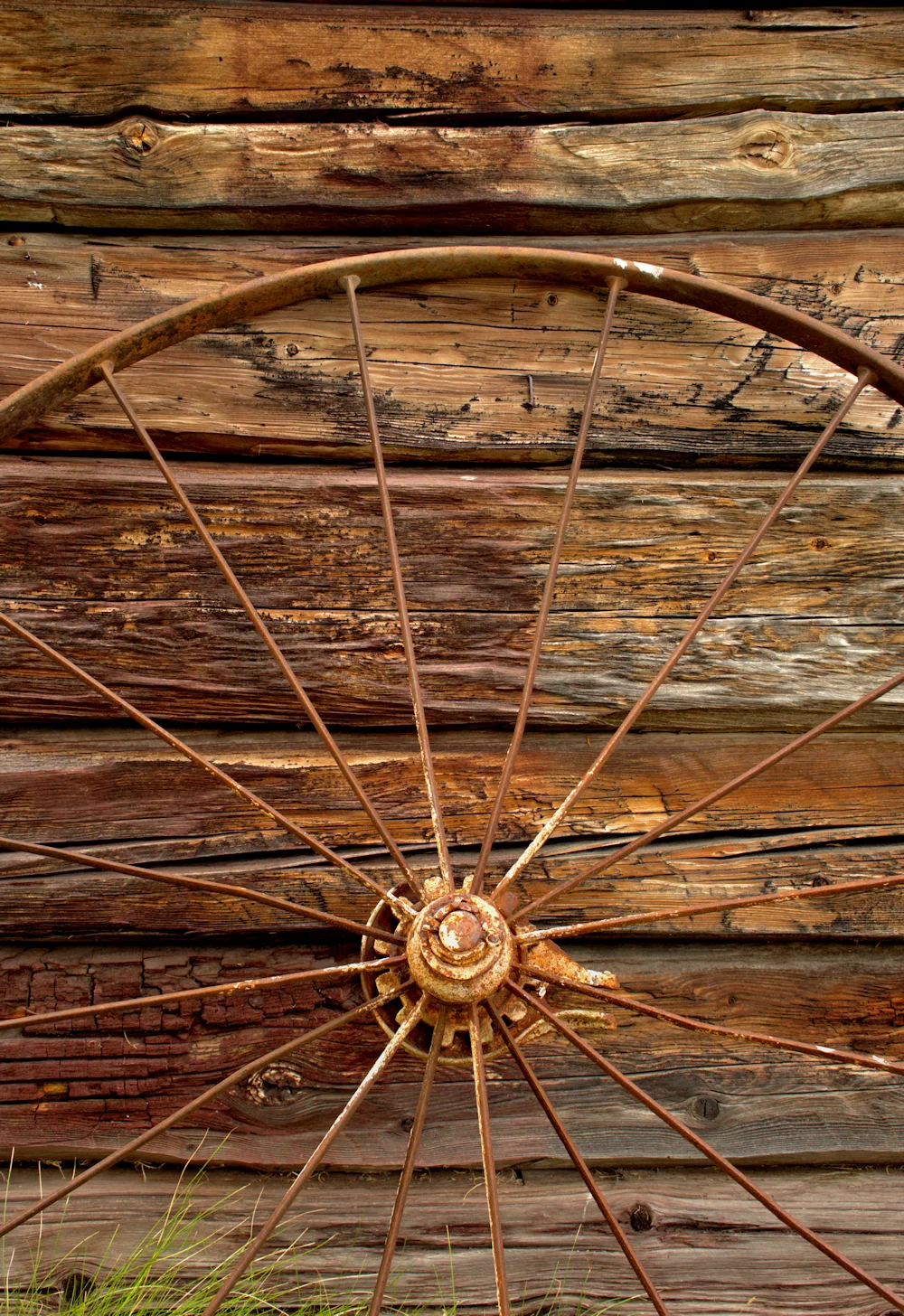 _D553318_Detail web.jpg