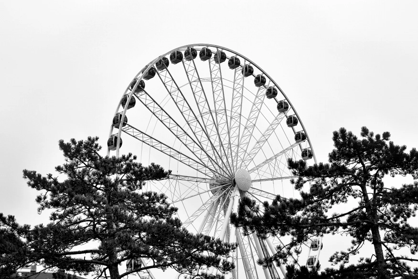 Seattle Waterfront 2018 0407 Web_002.jpg