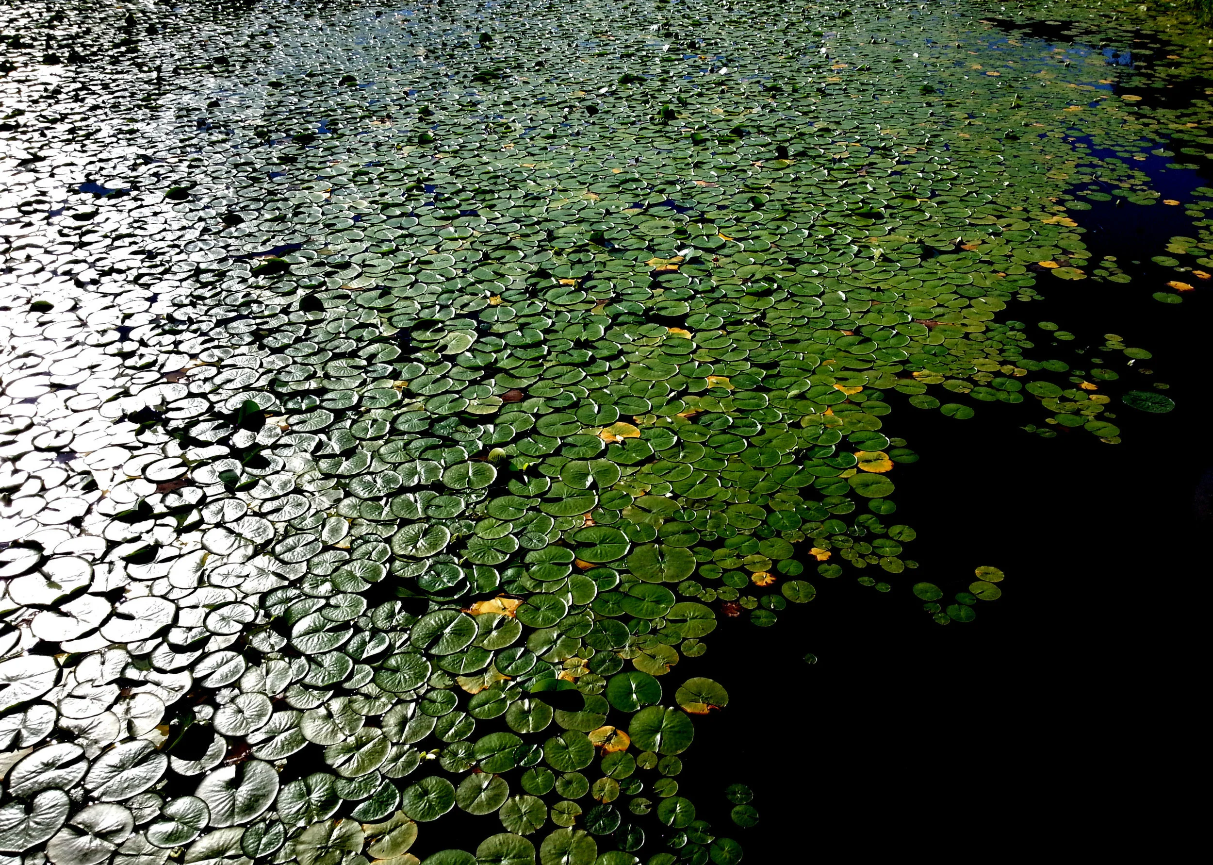 20130628_175252.jpg