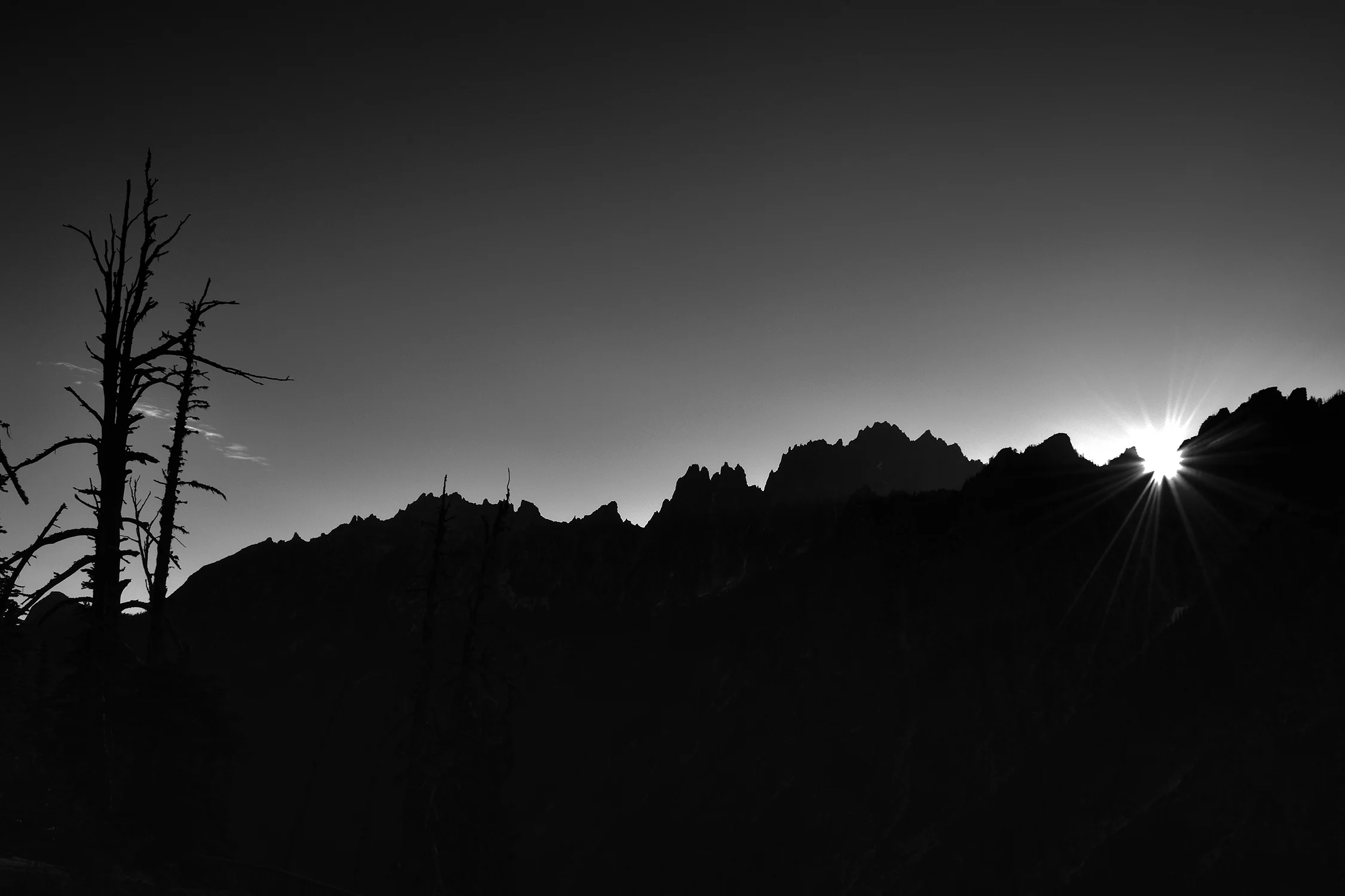 _D558510_00001_D558510 BW WEB.jpg
