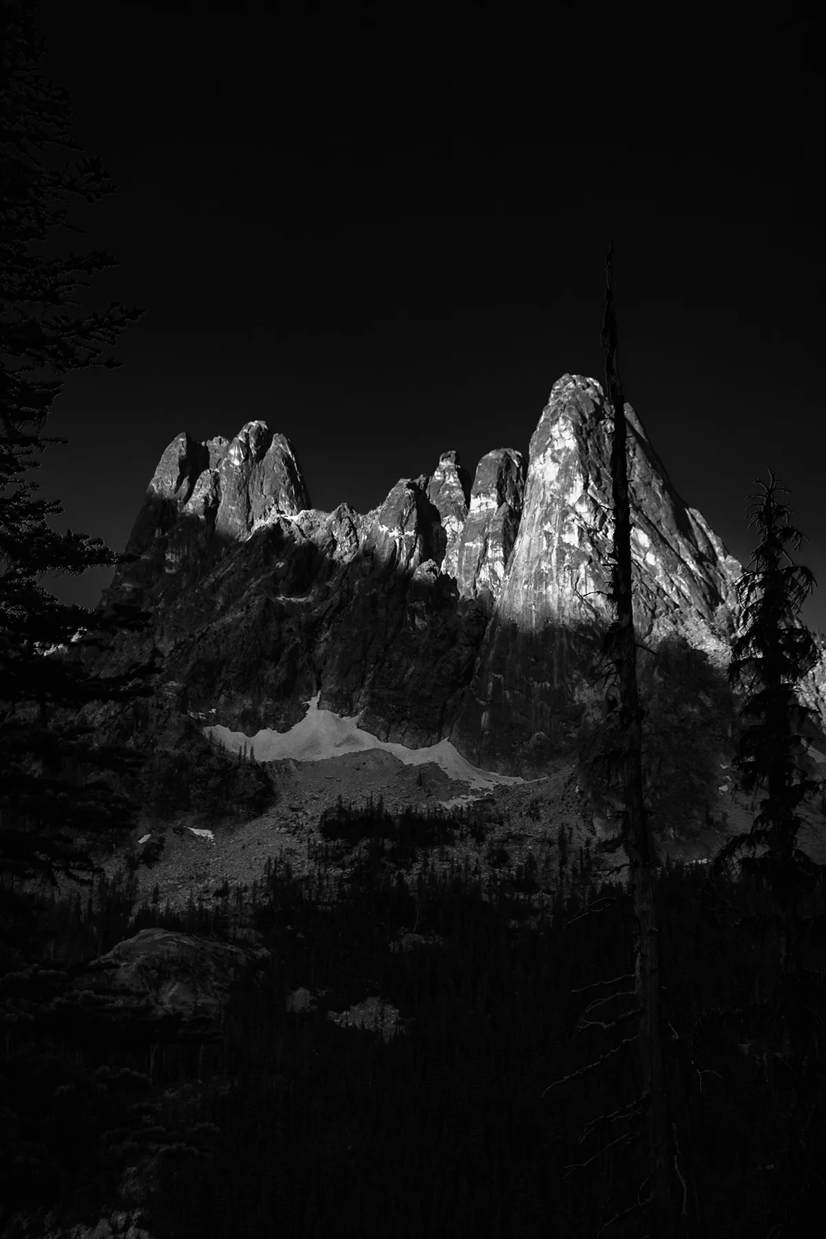 _D558425-BW WEB.jpg