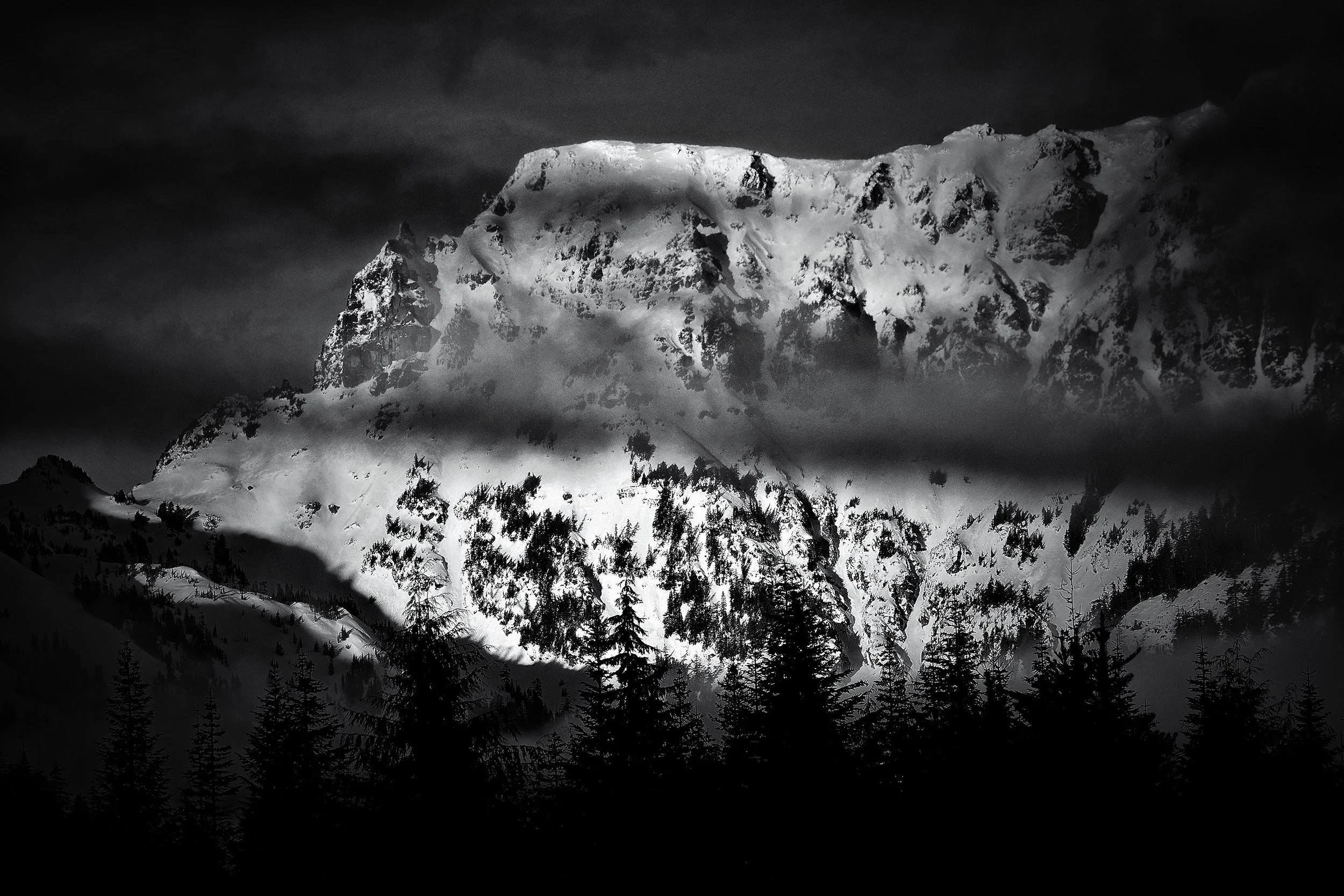 Goldon Pond Mountains _D550226 Processed Cropped BW Web.jpg