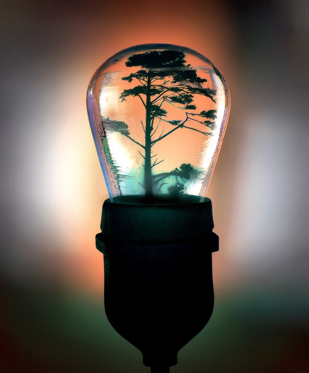 Light Bulb Tree 1 Web.jpg