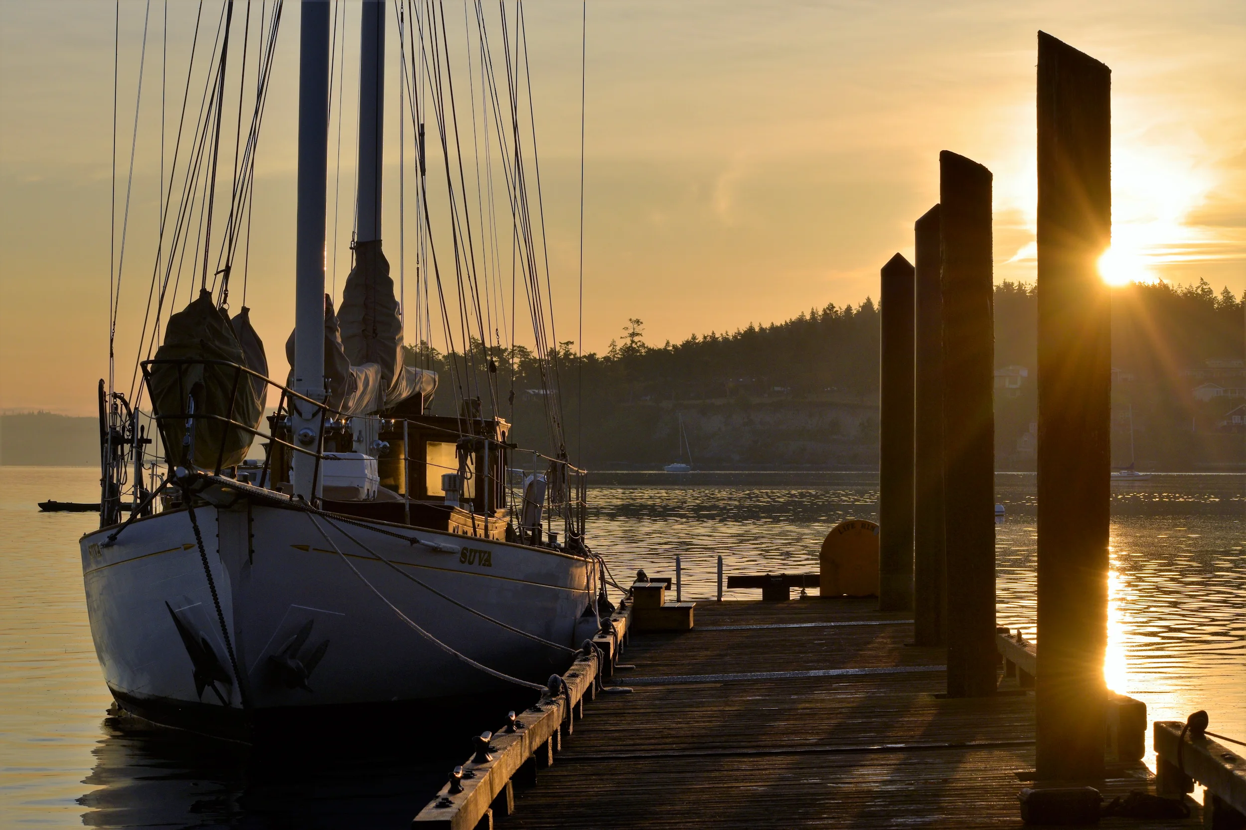 Suva at The Wharf Web.JPG