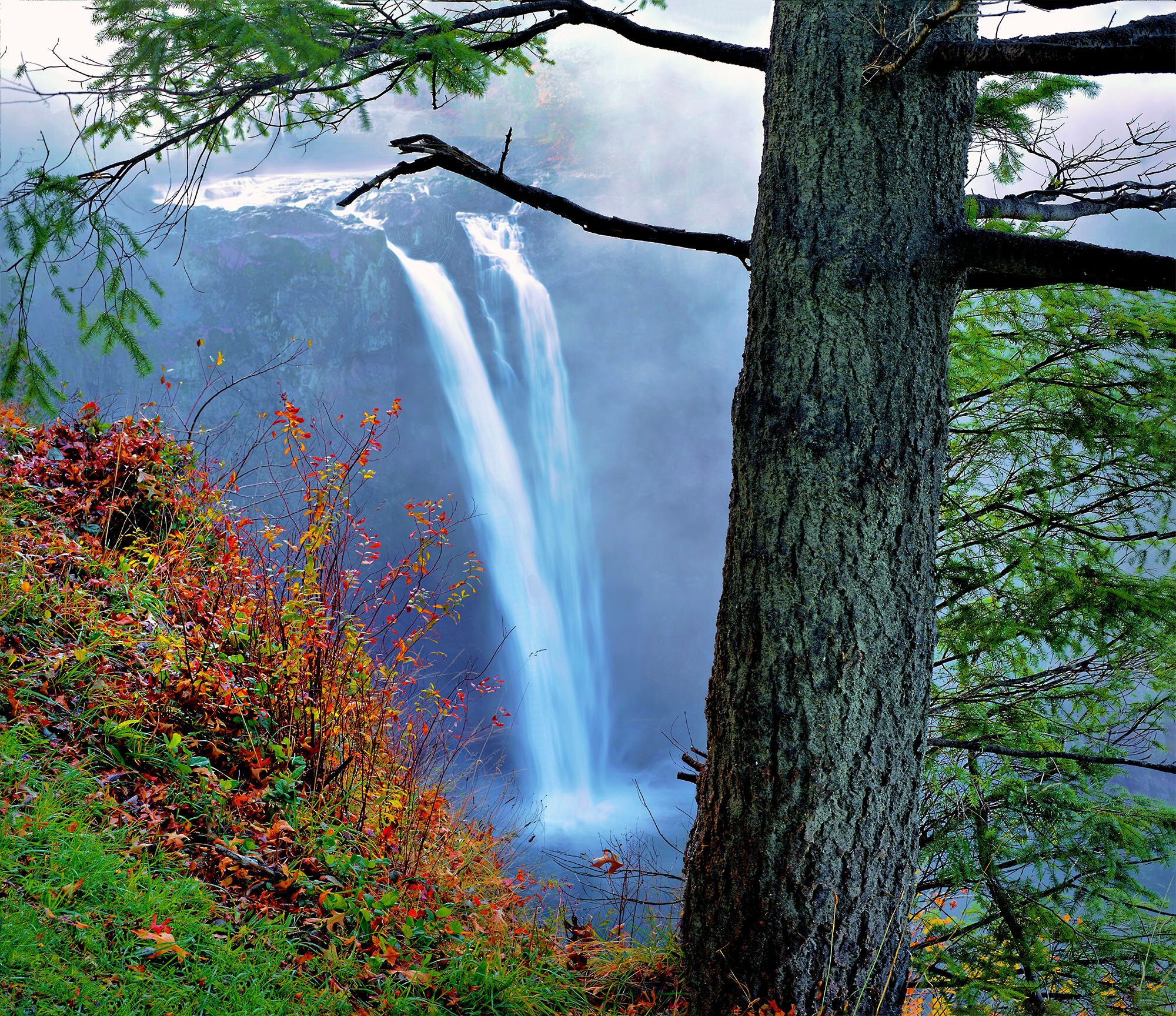 Snoqualmie Falls and  Tree Merged Web.jpg