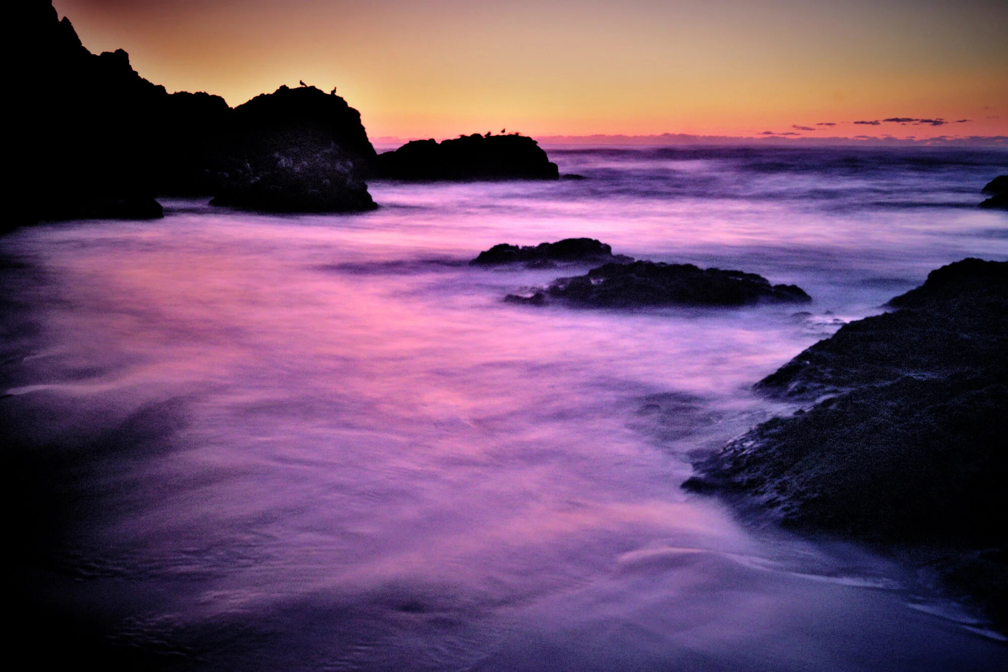 SON02417- Web- Web.jpg