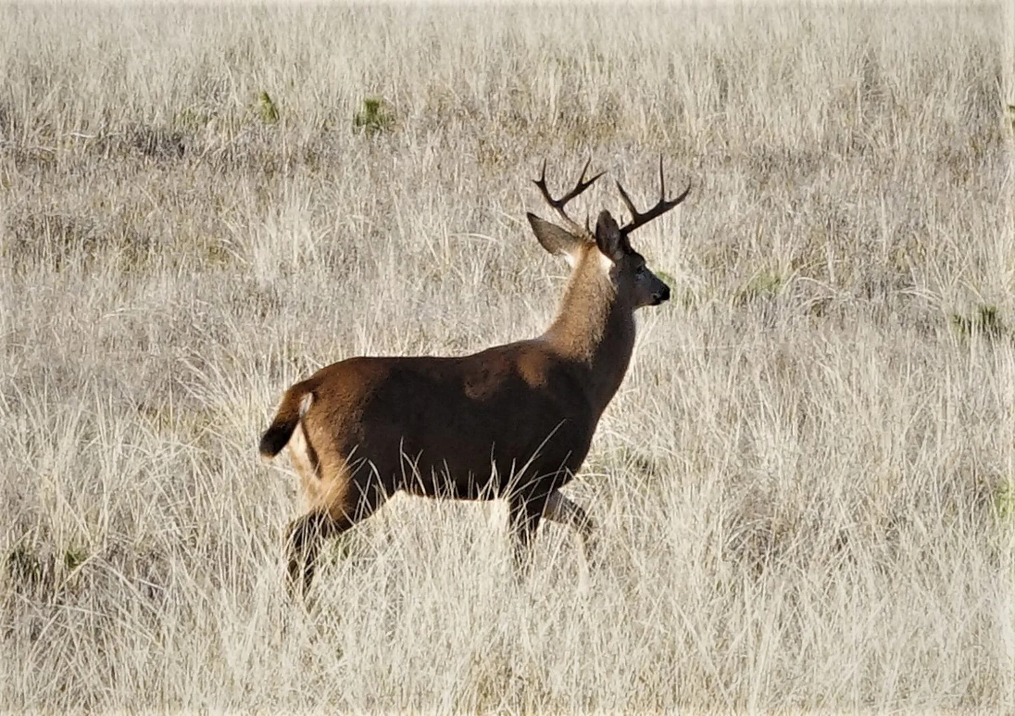 SON02655- Web.jpg