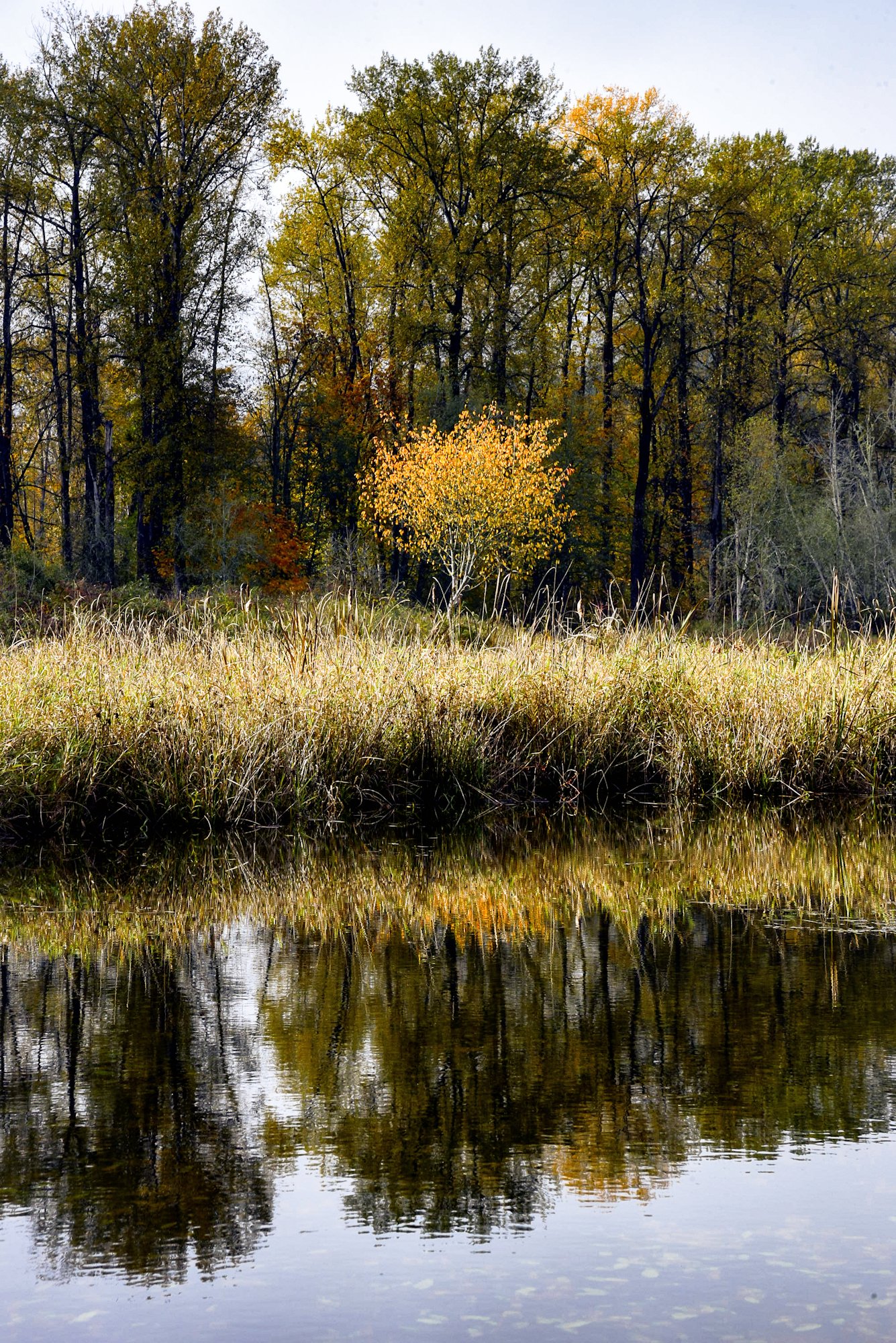 _DSC3519-3 WEB.jpg