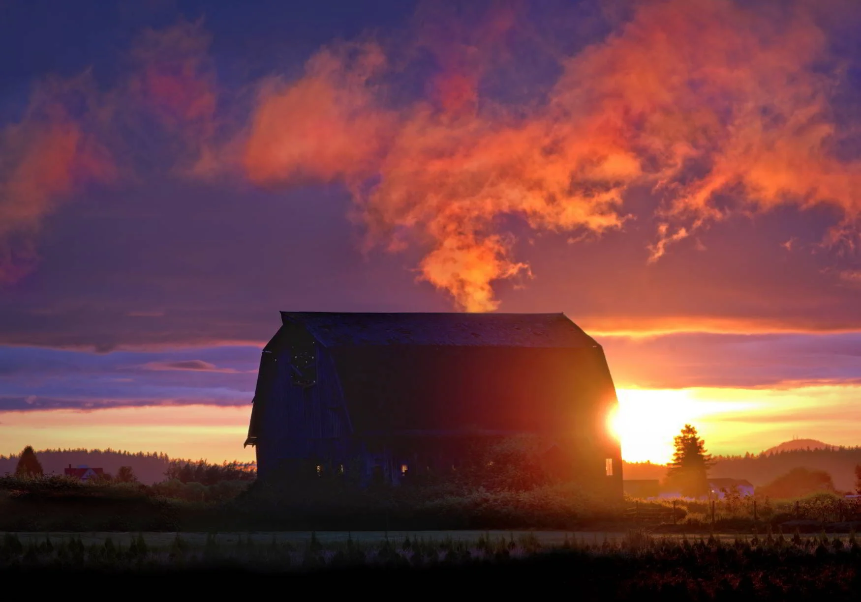 Best 2021 Web 00005Backlit Barn Skagit Valley.jpg