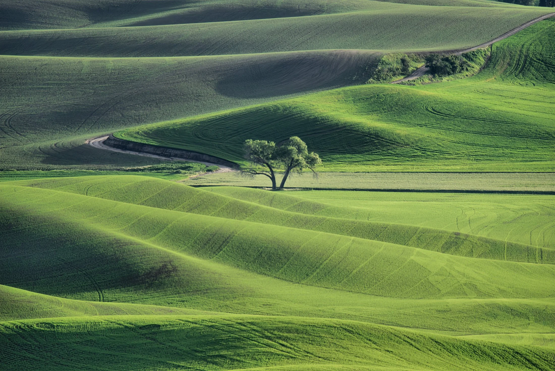 B _DSC5190 00001_10-sharpen-focus.jpg