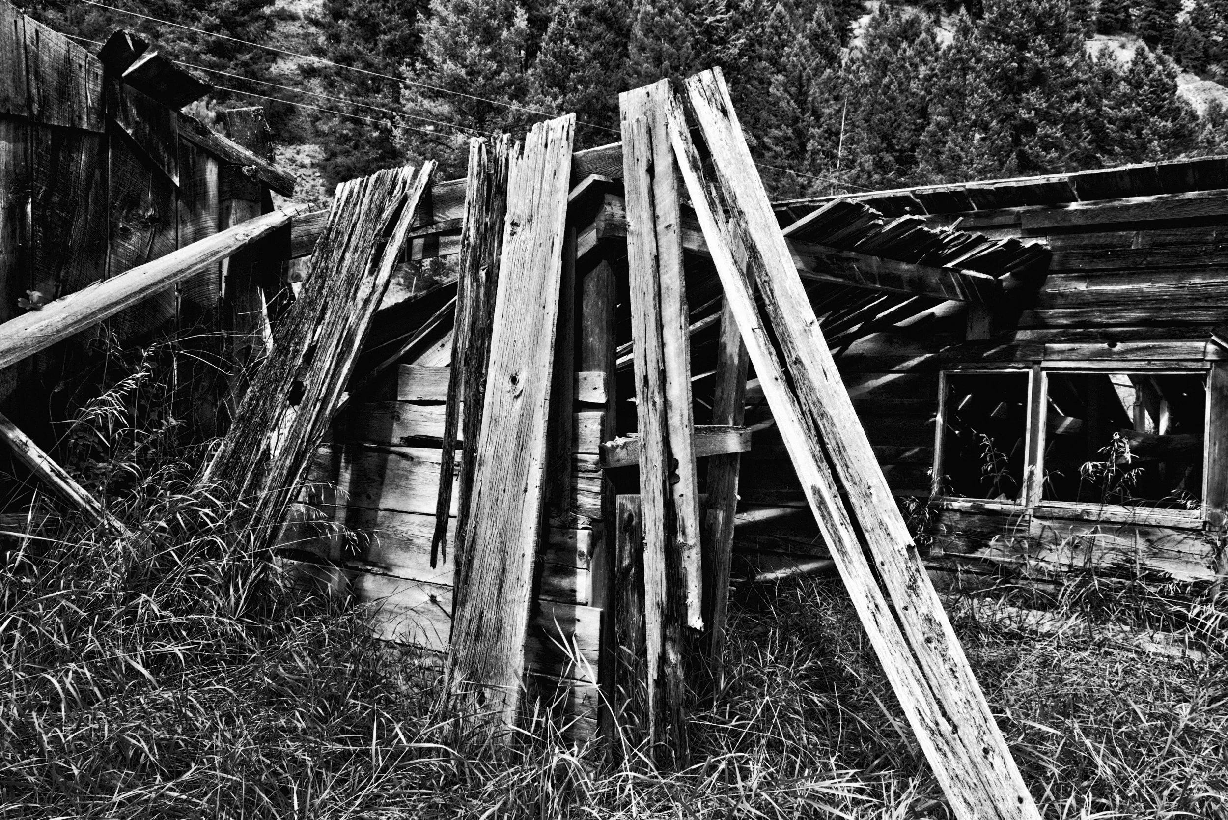 _D553272_Detail BW.JPG