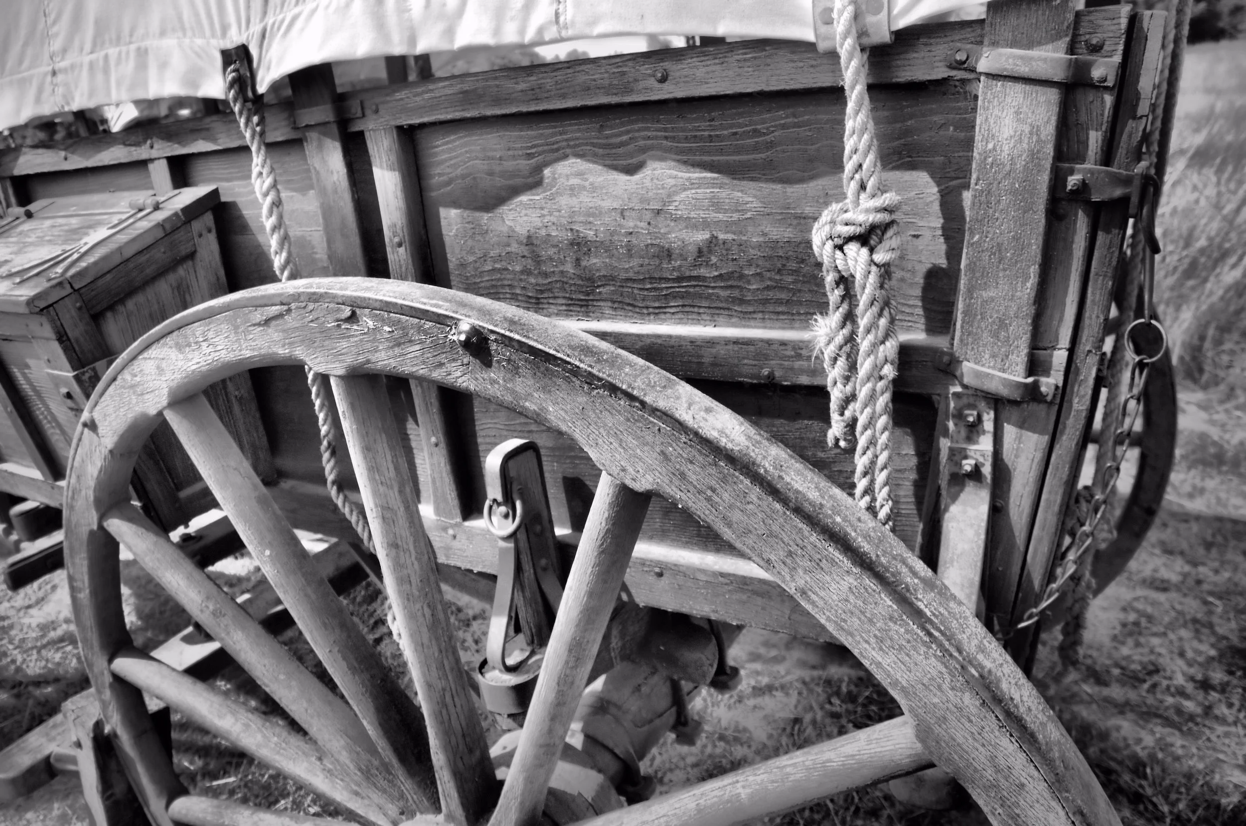 _DSC2216 -1_134 Web.JPG