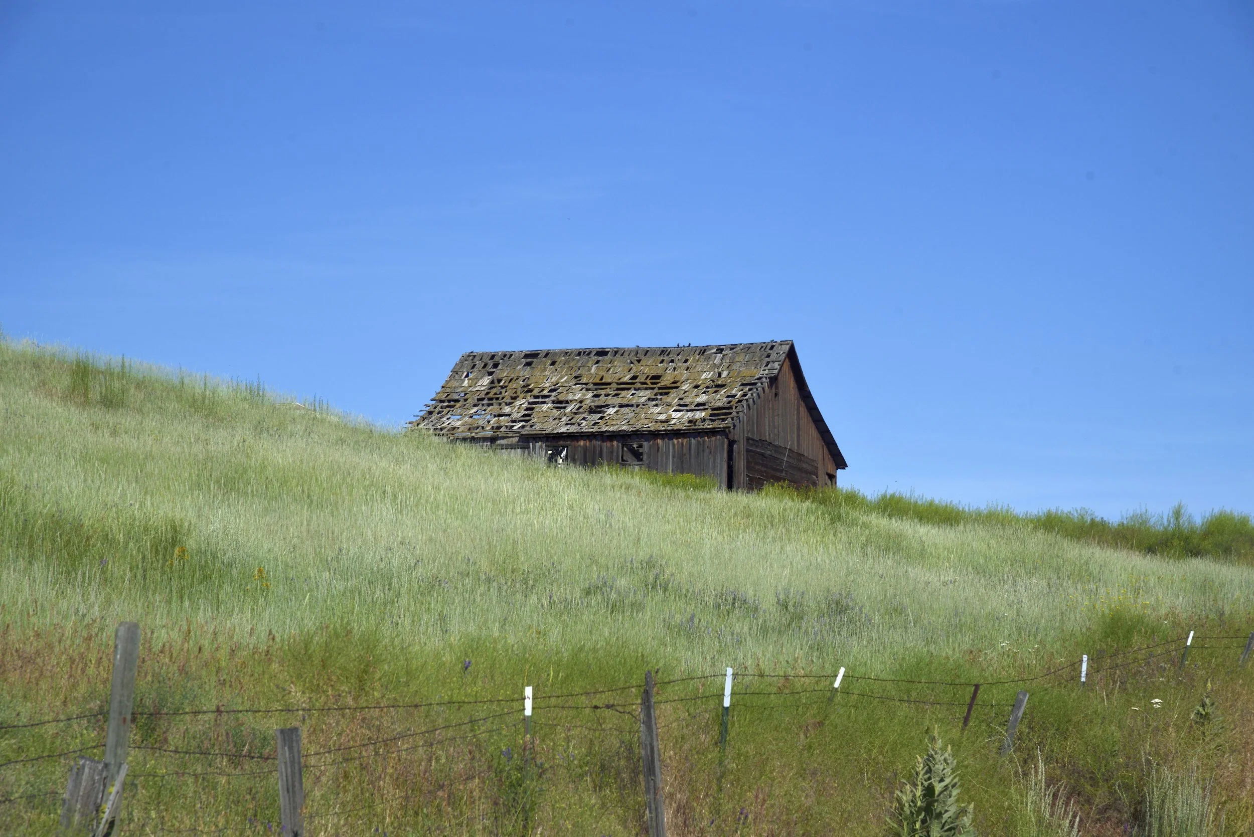 _DSC5276_055 Web.JPG