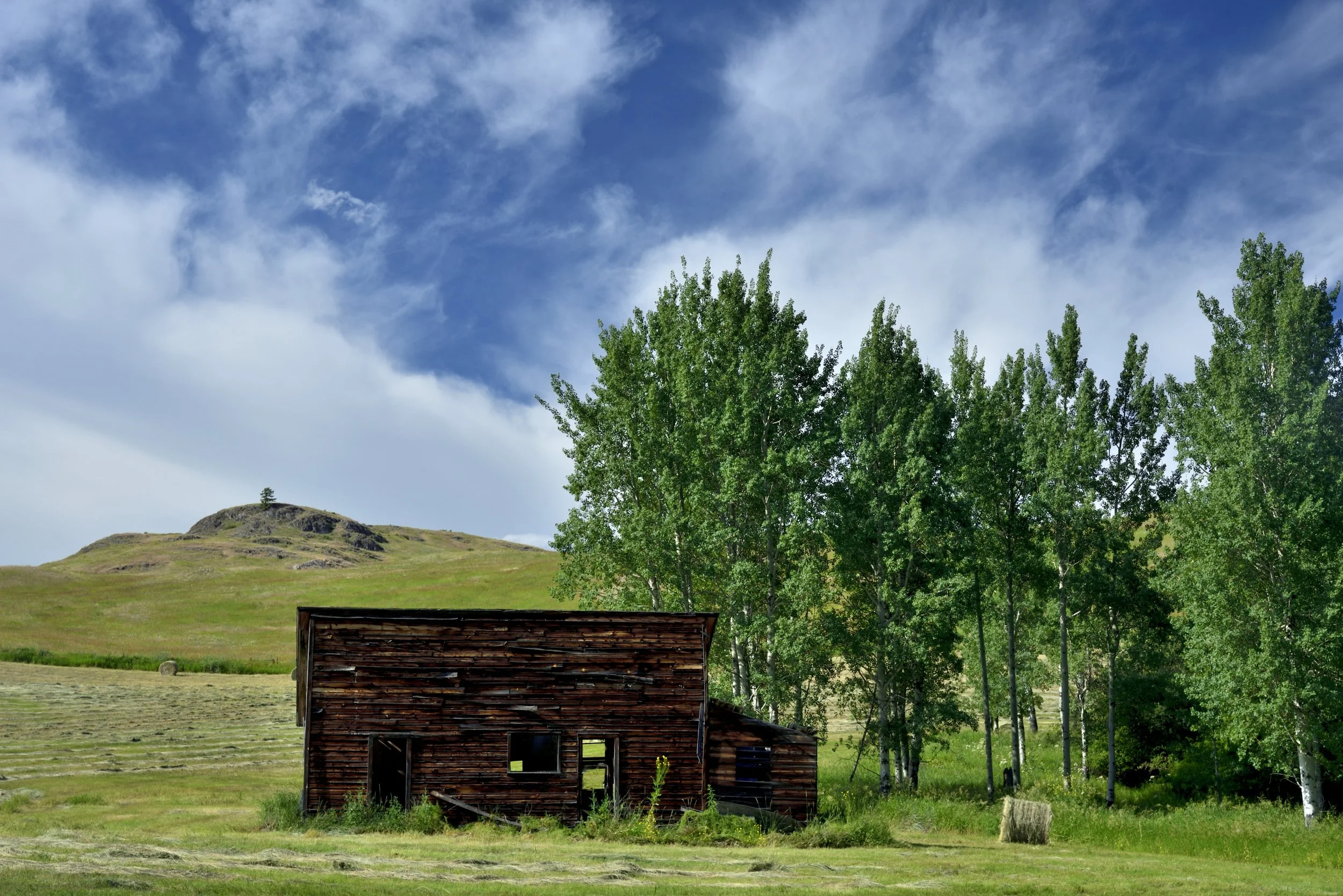 _DSC5278_056 Web.JPG