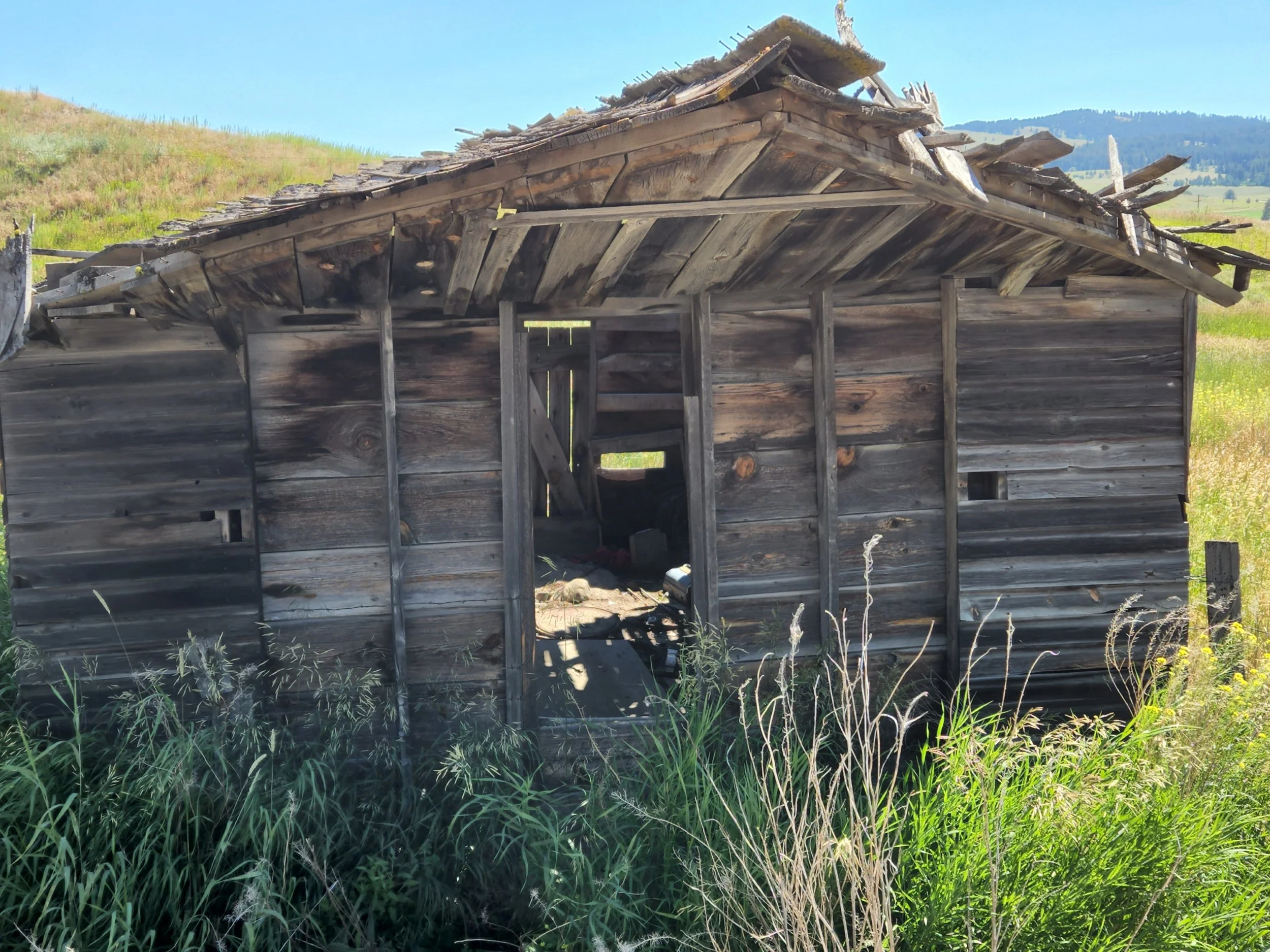 20220725_112211_059 Web.JPG