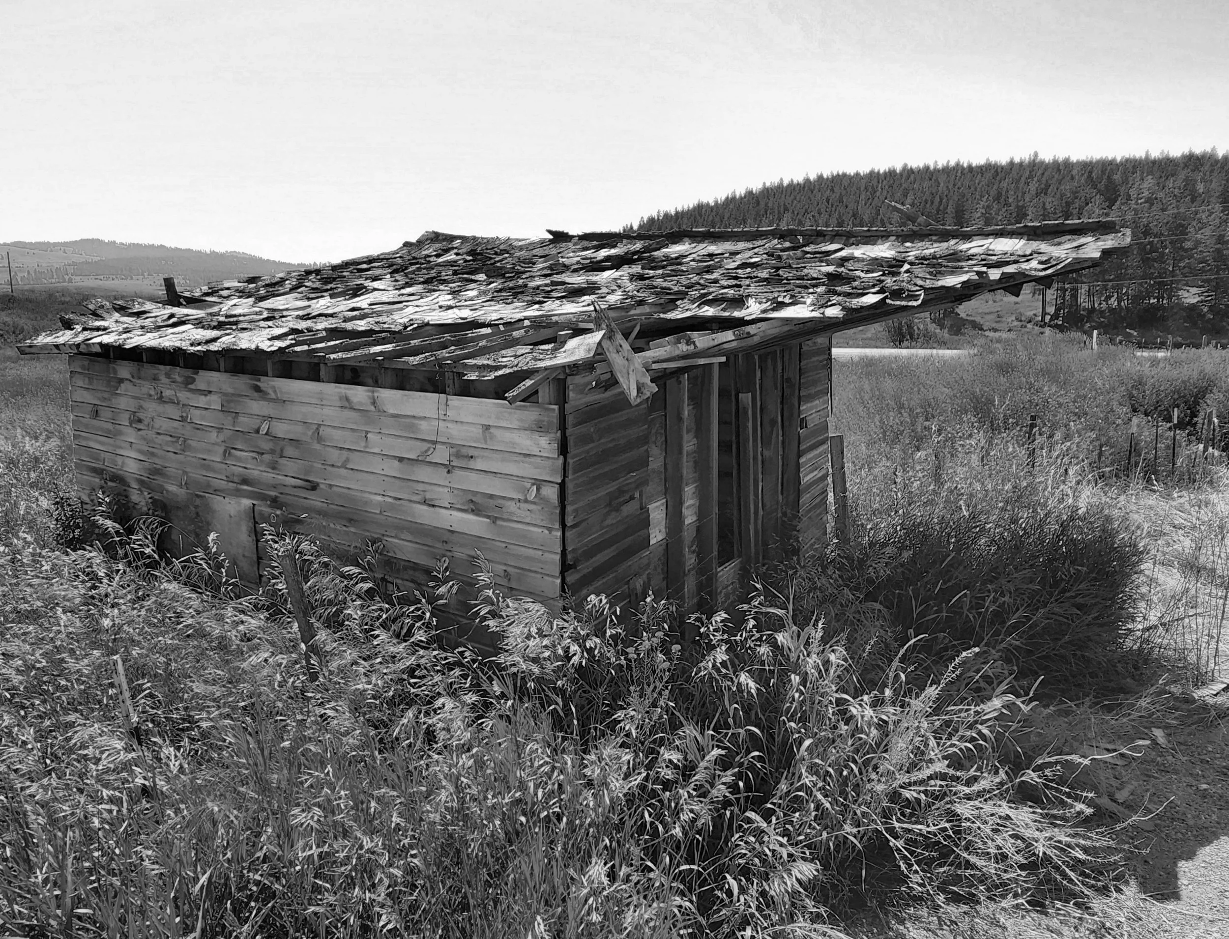 20220725_112250 BW_062 Web.JPG