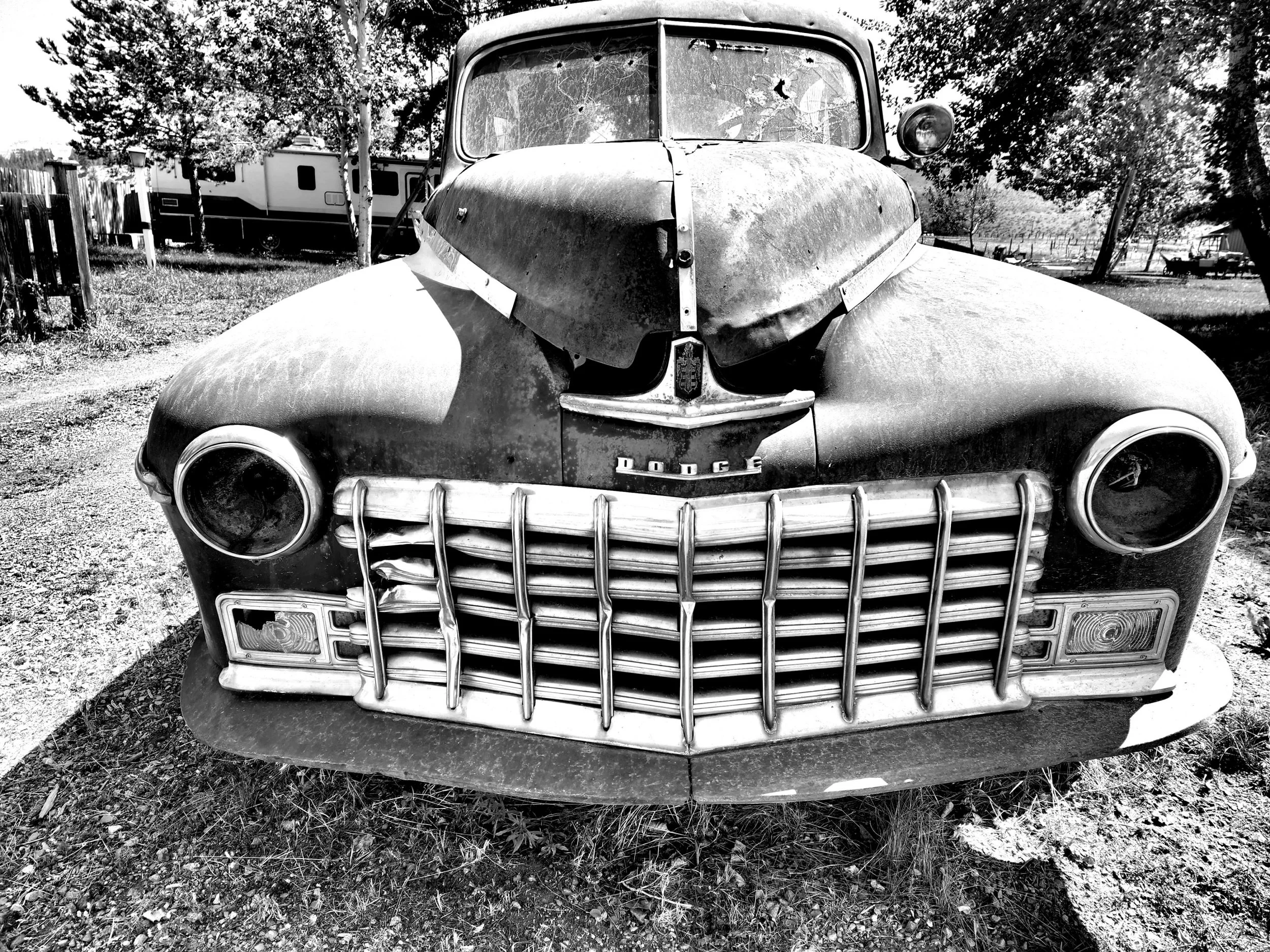 20220727_122609 BW_072 Web.JPG