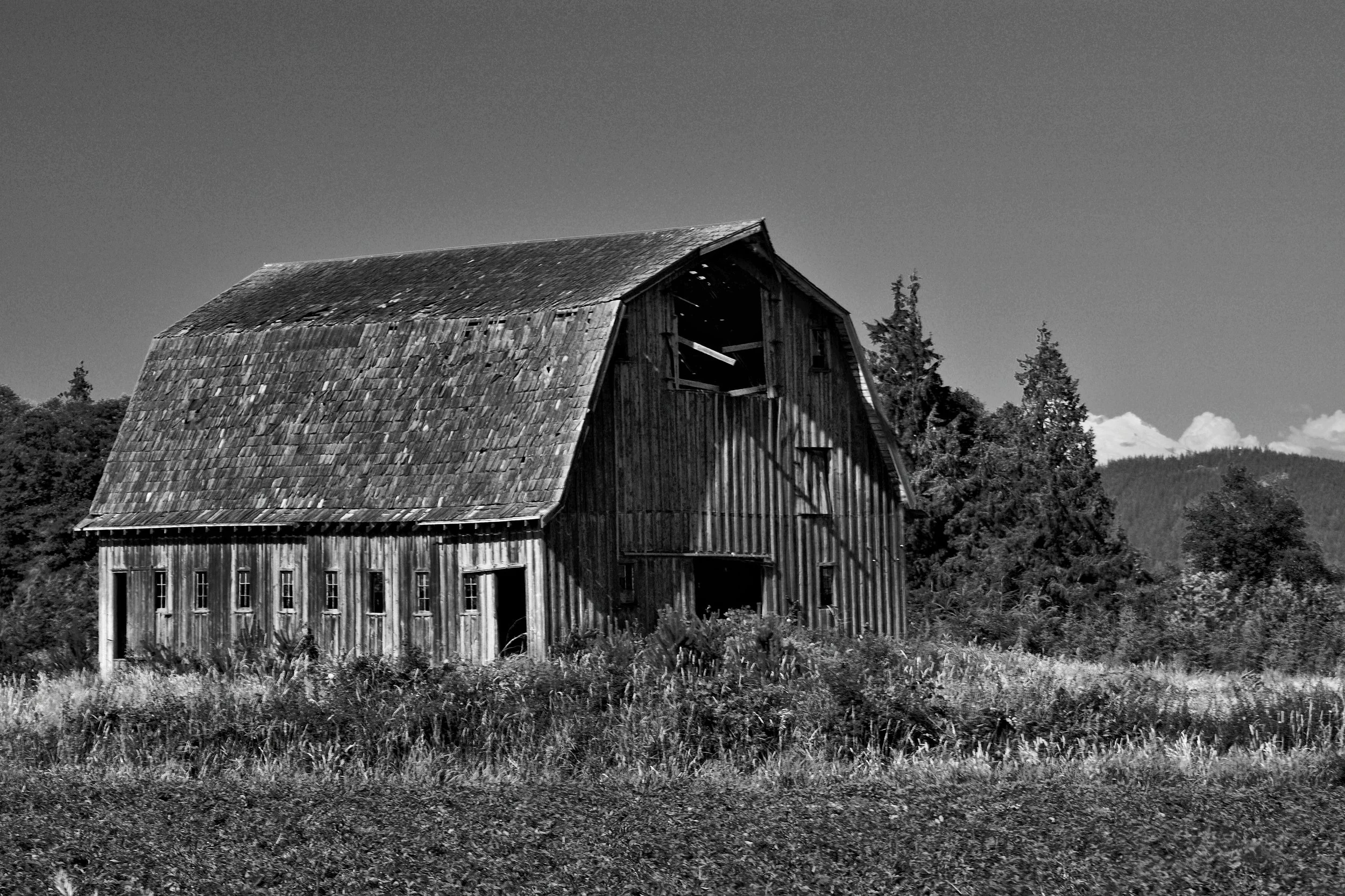 Barn Skagit BW_119 Web.JPG