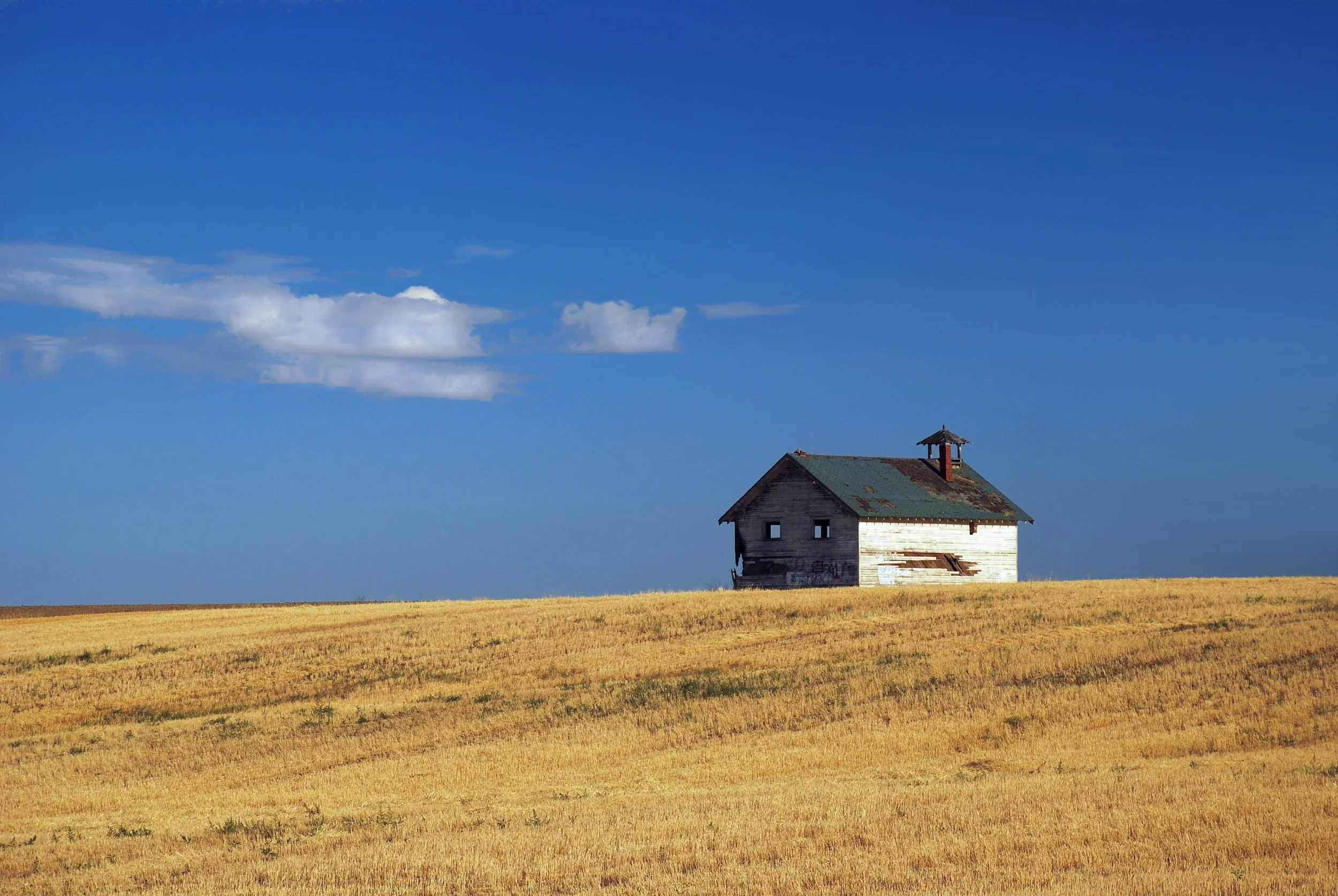 DSC_1003_113 Web.JPG