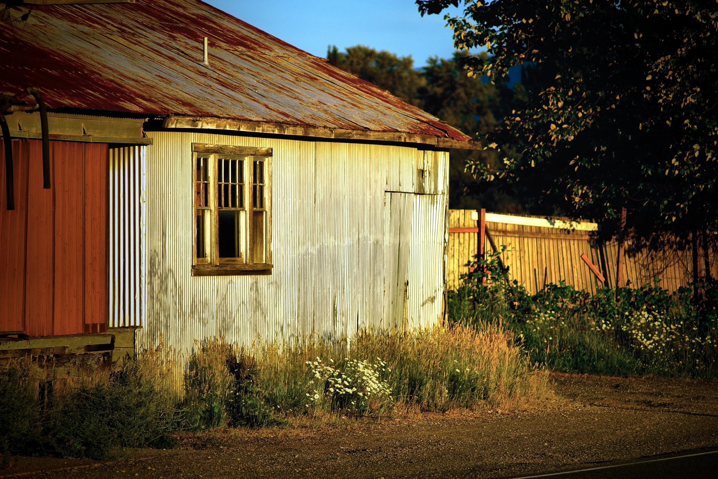 SON00327_053 Web.JPG