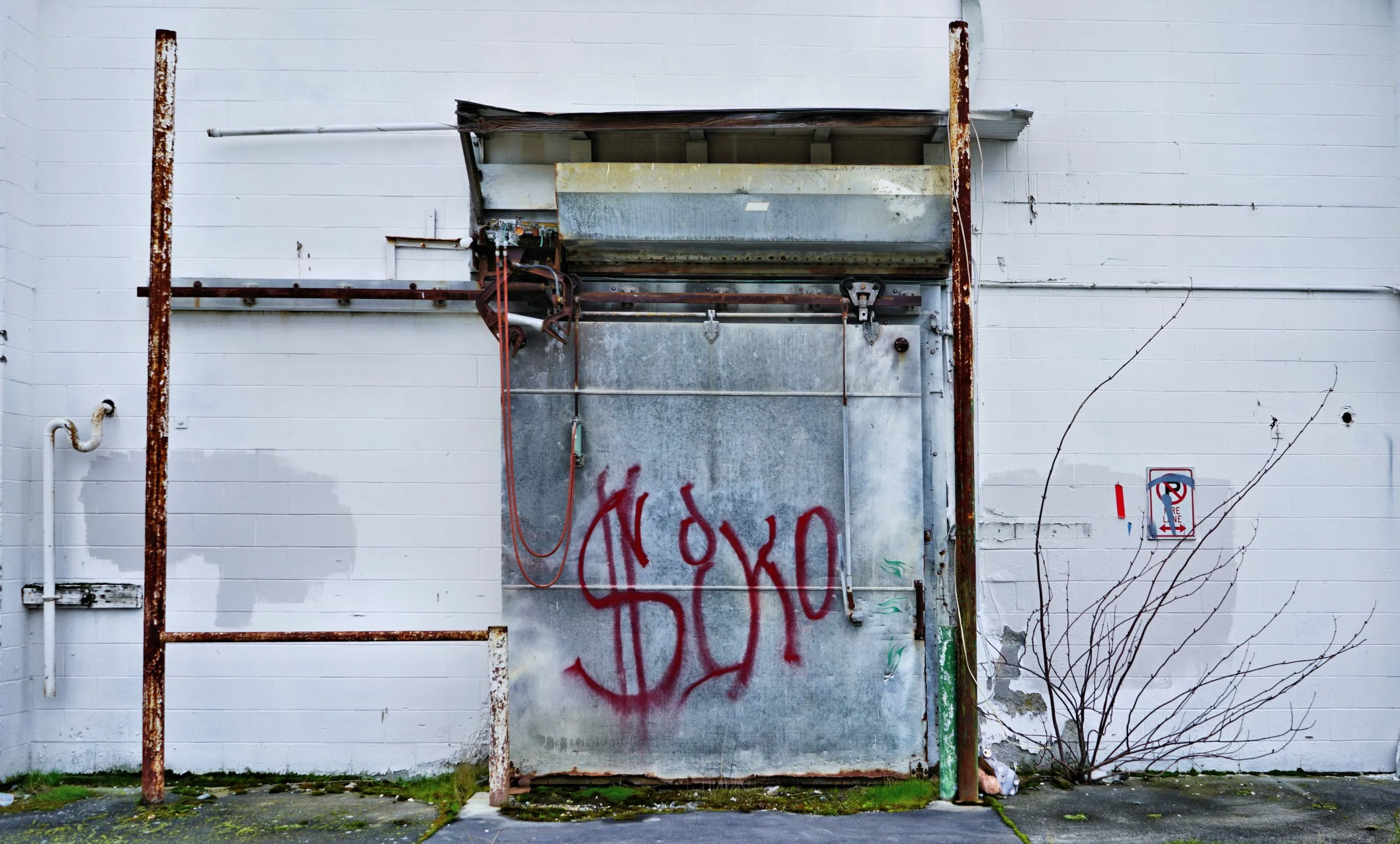 SON05035 a_048 Web.JPG