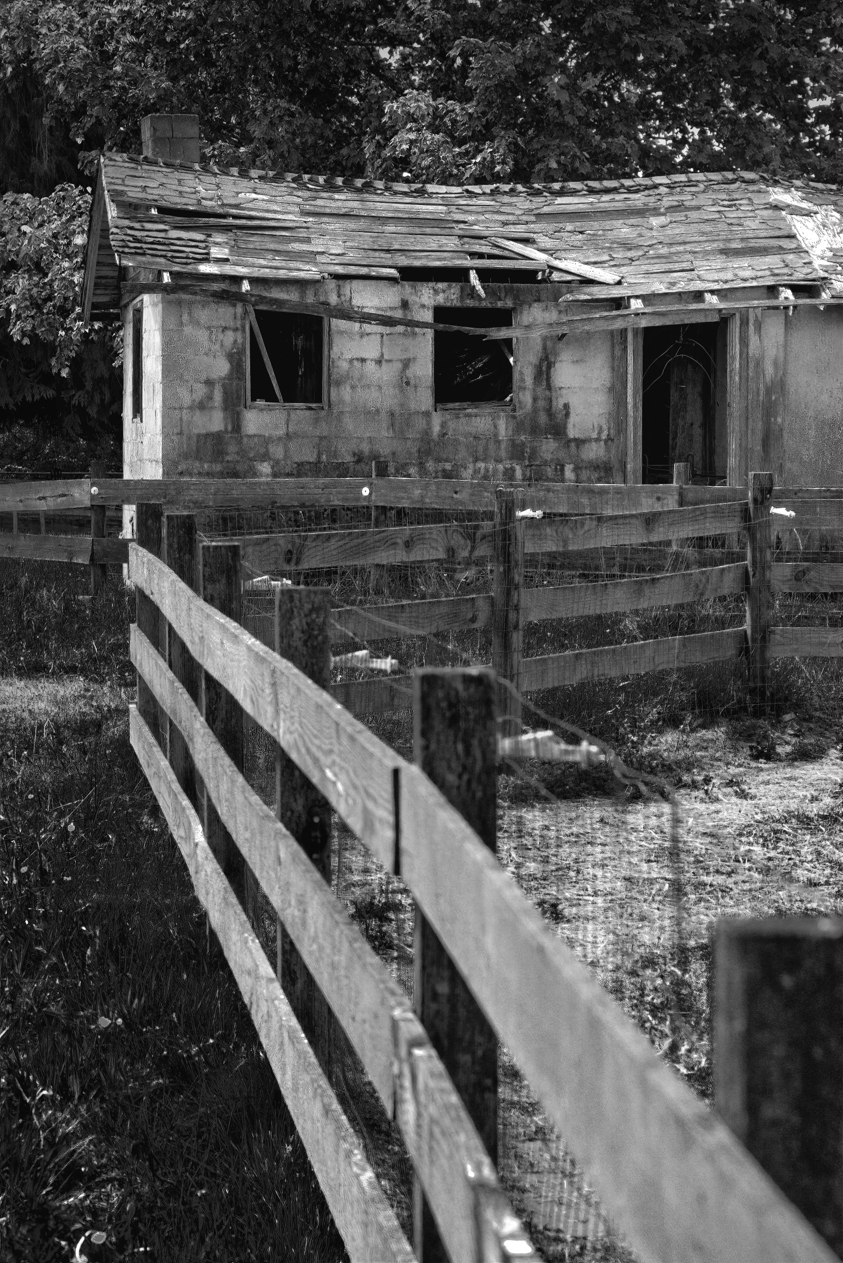 SON05672 -1-sharpen-focus-sharpen-motion BW_074 Web.JPG