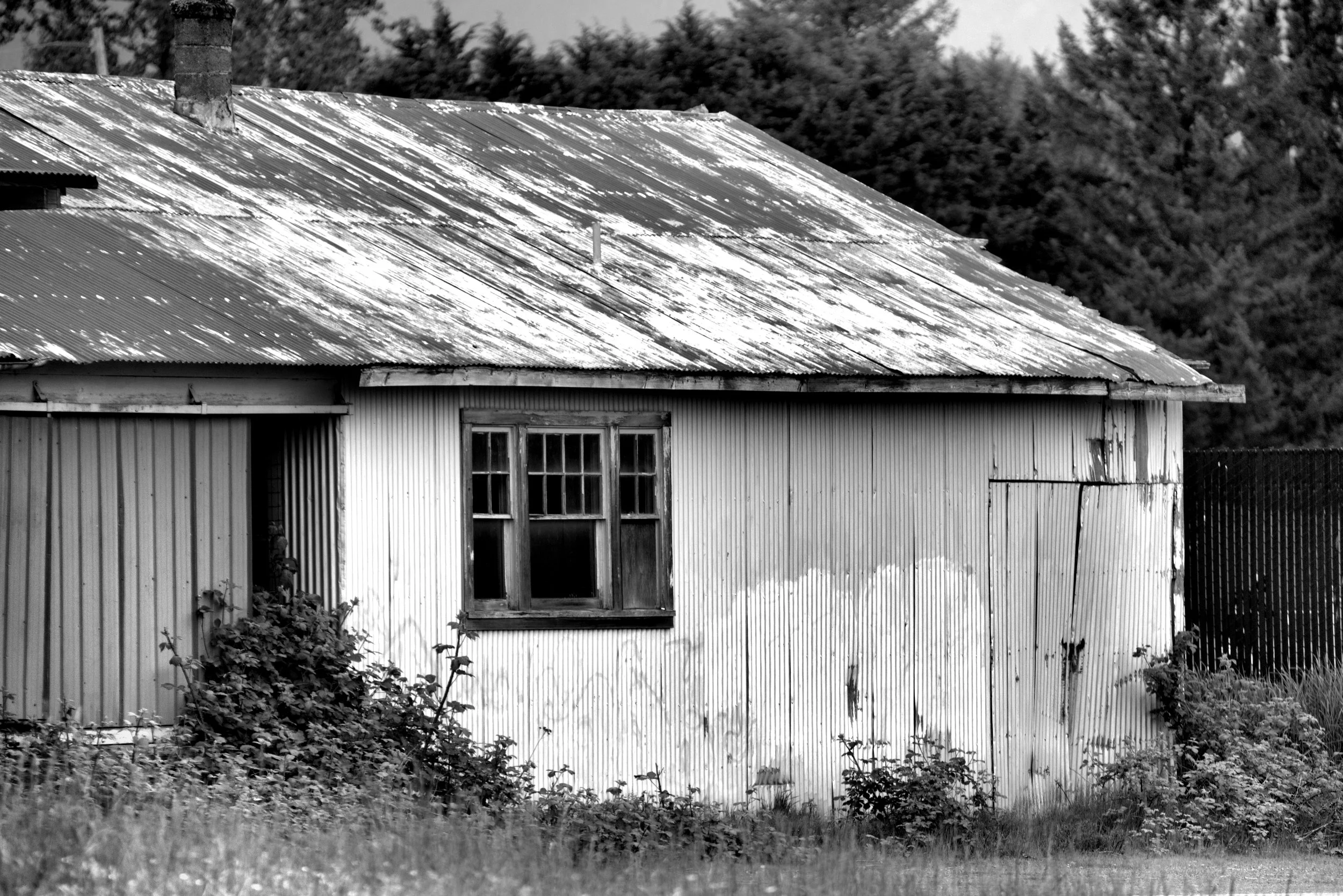 SON05749 -1_054 Web.JPG