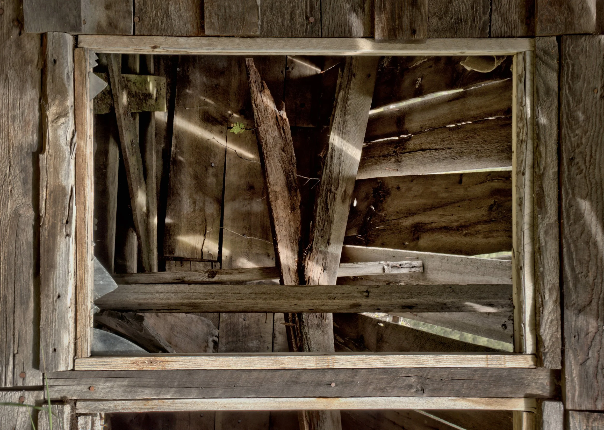 Wilderness 00003-standard-scale-2_00x-gigapixel-SharpenAI-softness.JPG