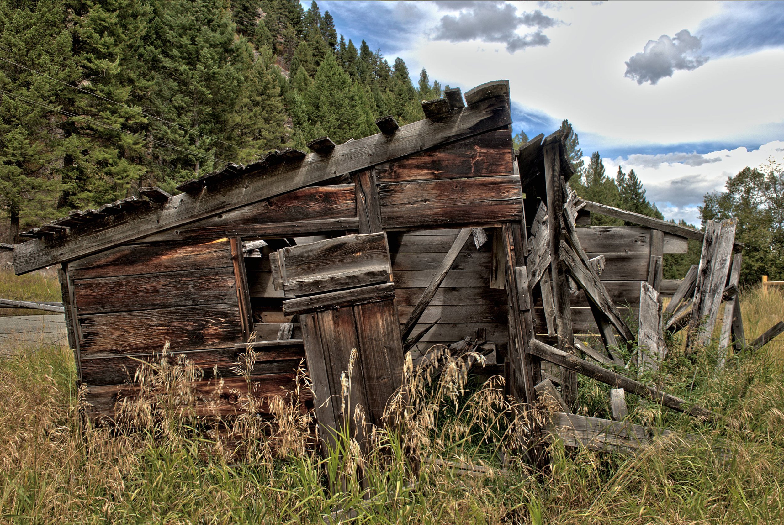 Wilderness 00006.JPG