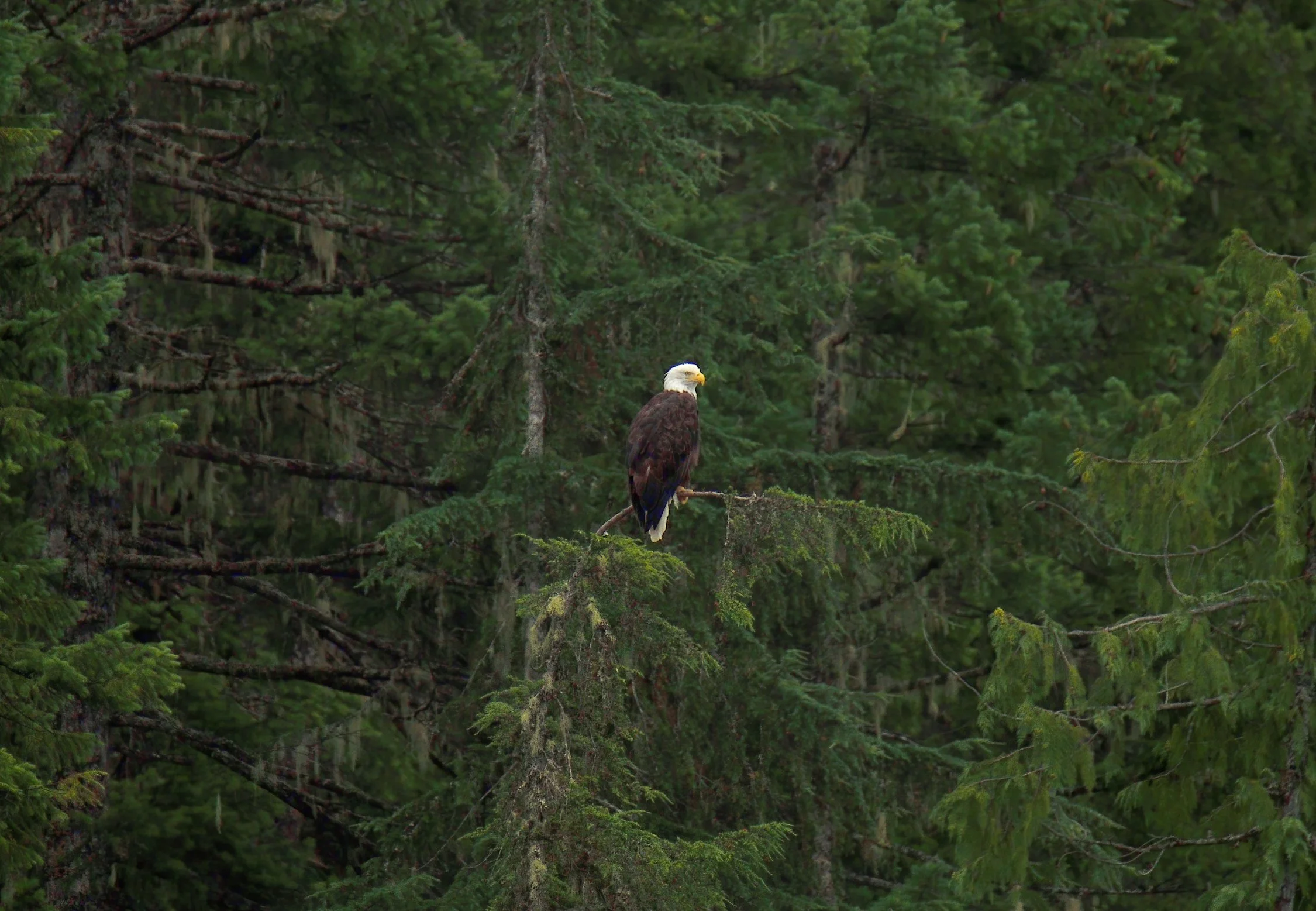 _DSC5487_155 Web.jpg