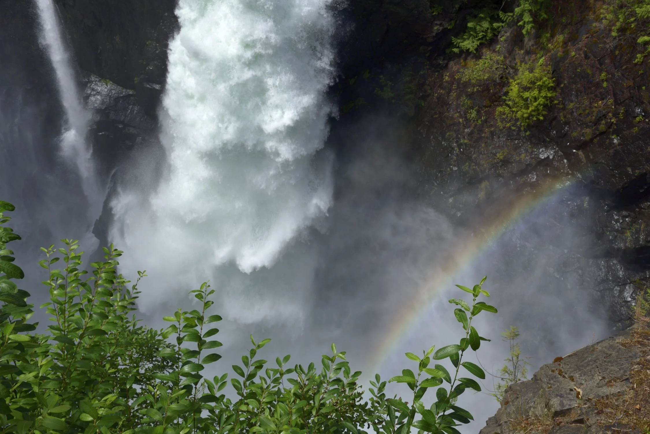 _DSC5544_162 Web.JPG