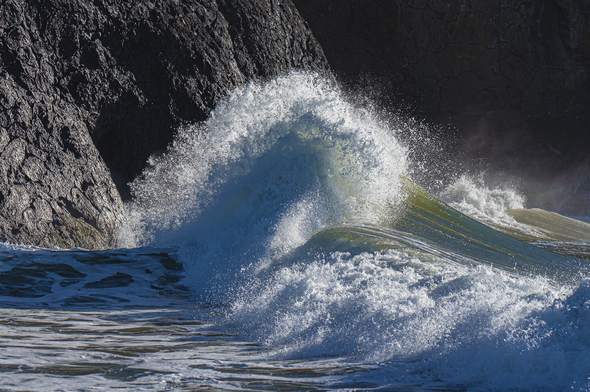 _DSC6501 Web.jpg