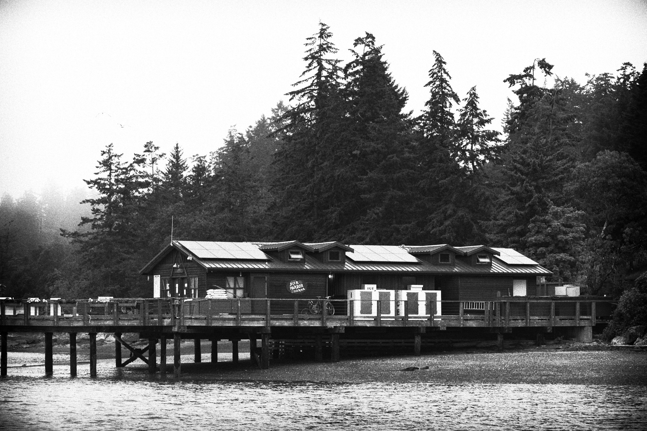 _DD551096 BW Web.jpg