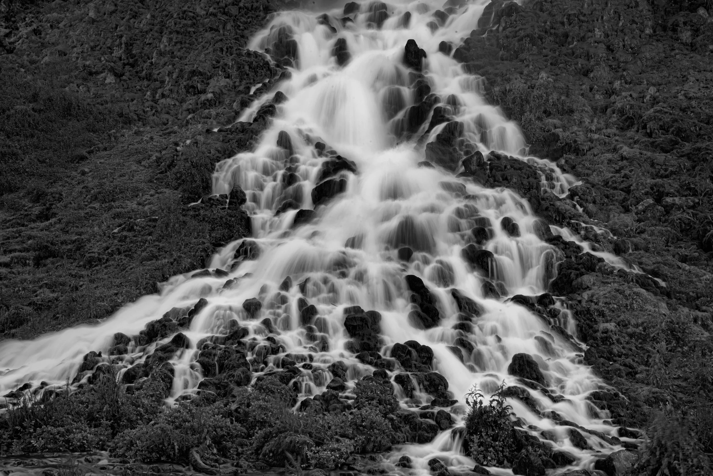 _DSC4824 BW-DeNoiseAI-clear-SharpenAI-Softness-gigapixel-standard-width-2500px WEB.jpg