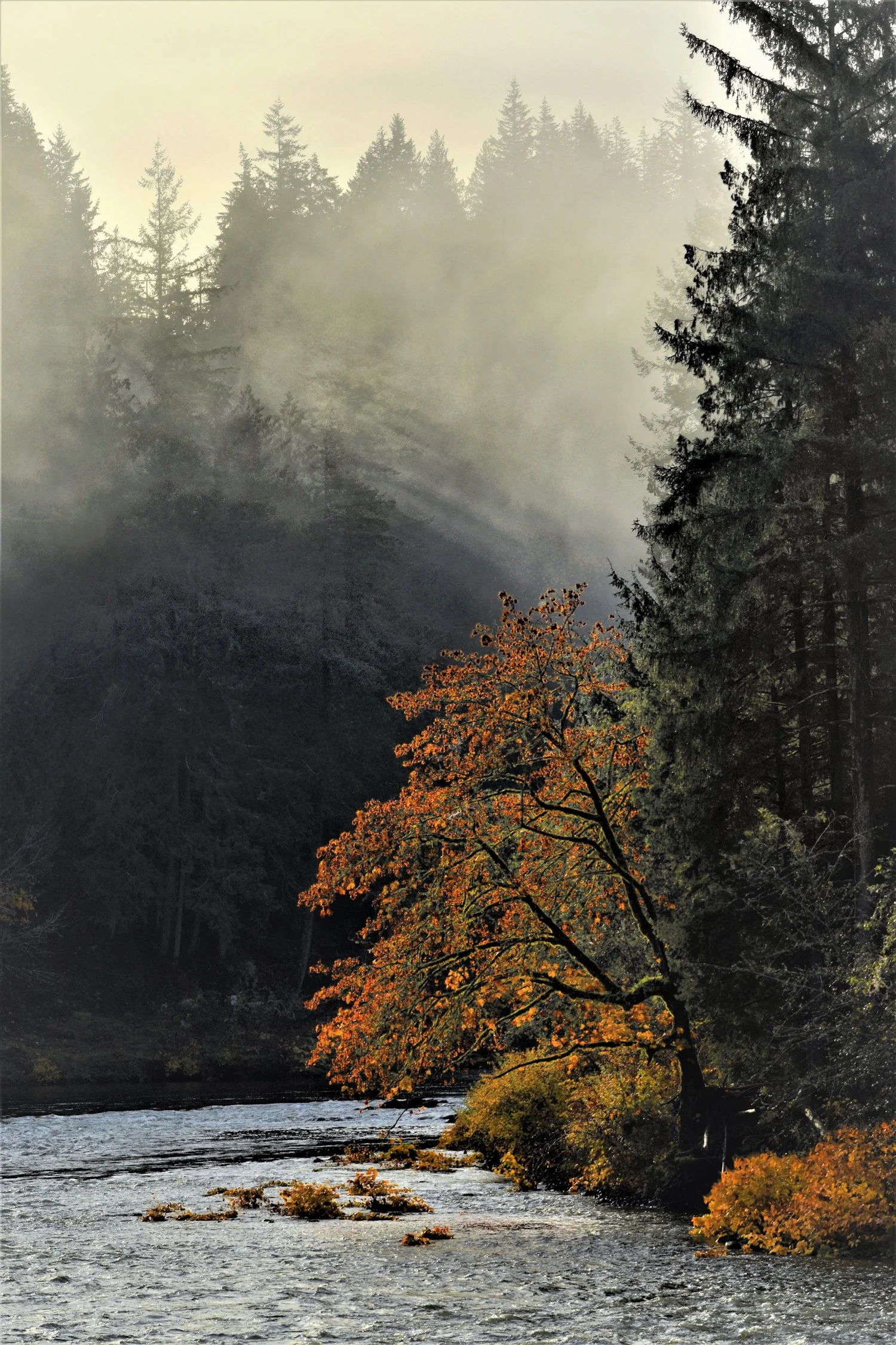 _D559817 (3) Web.JPG