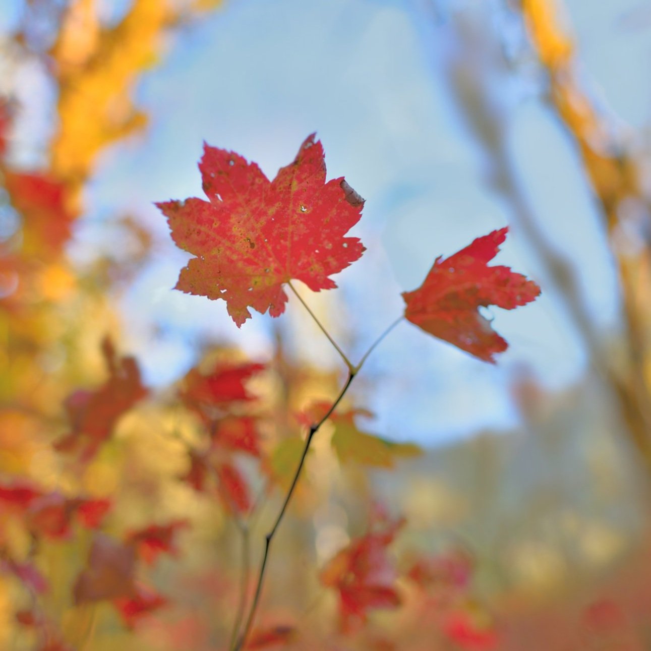 _DSC6227+Web.jpg